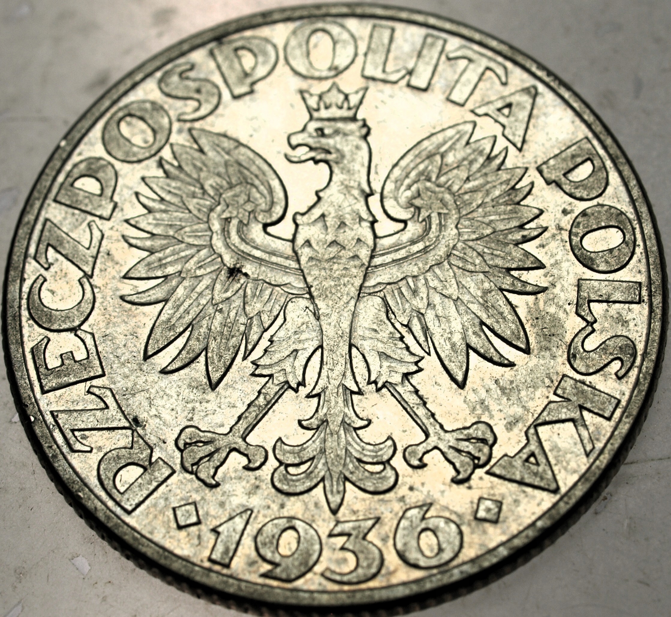 Zdjęcie 18561380594_1
