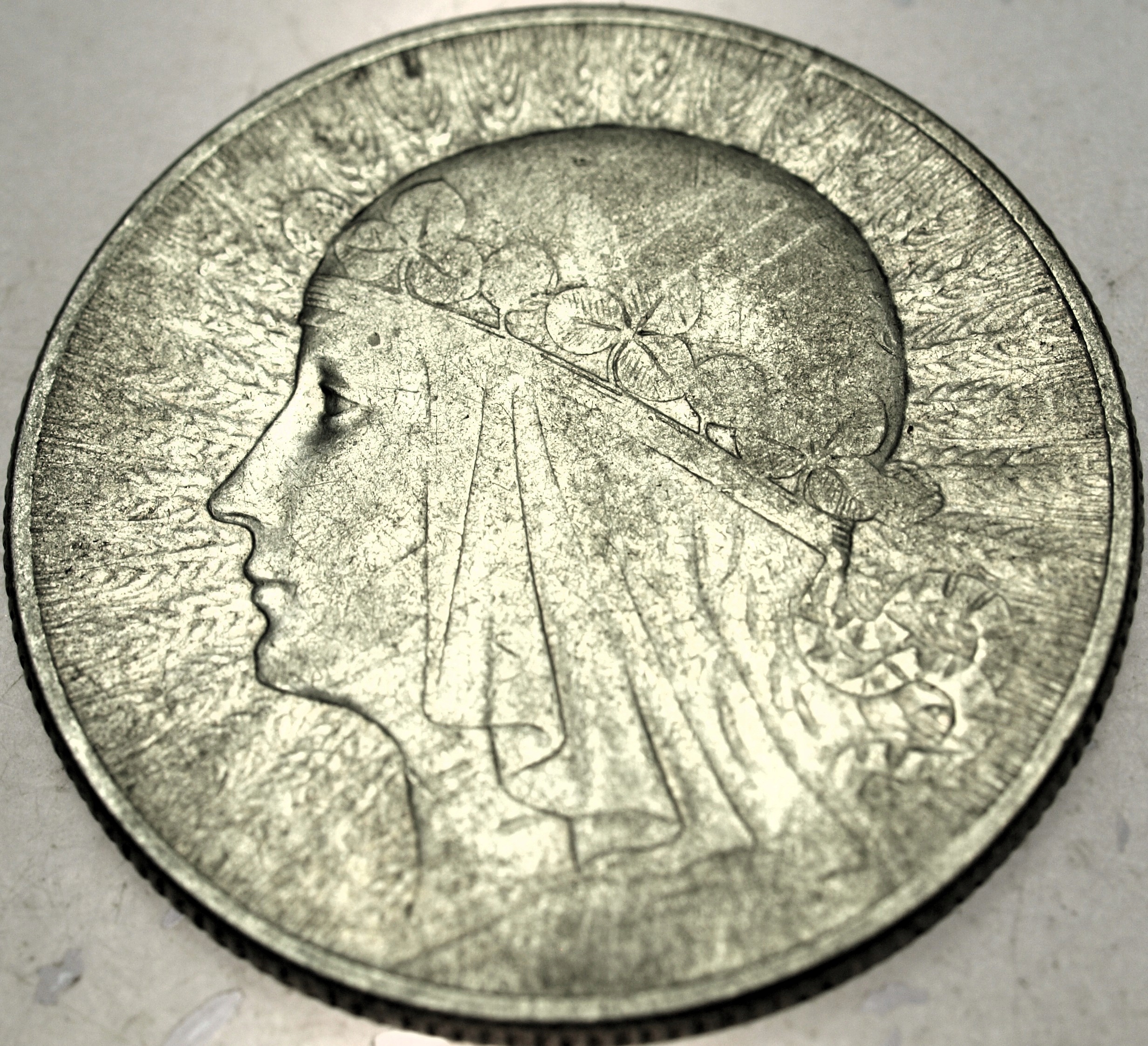 Zdjęcie 18561386806_0