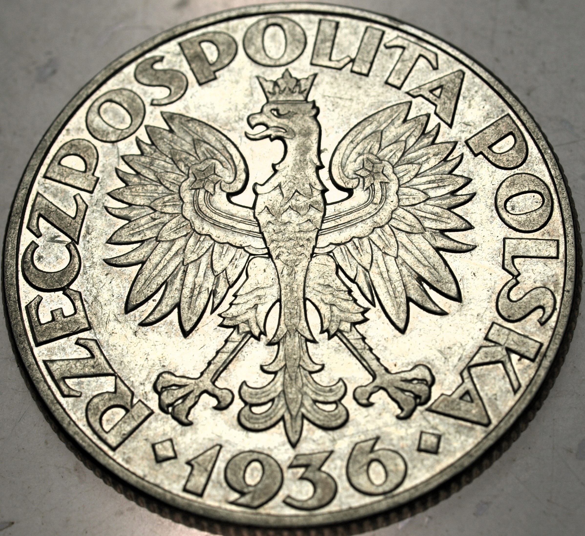 Zdjęcie 18561401172_1