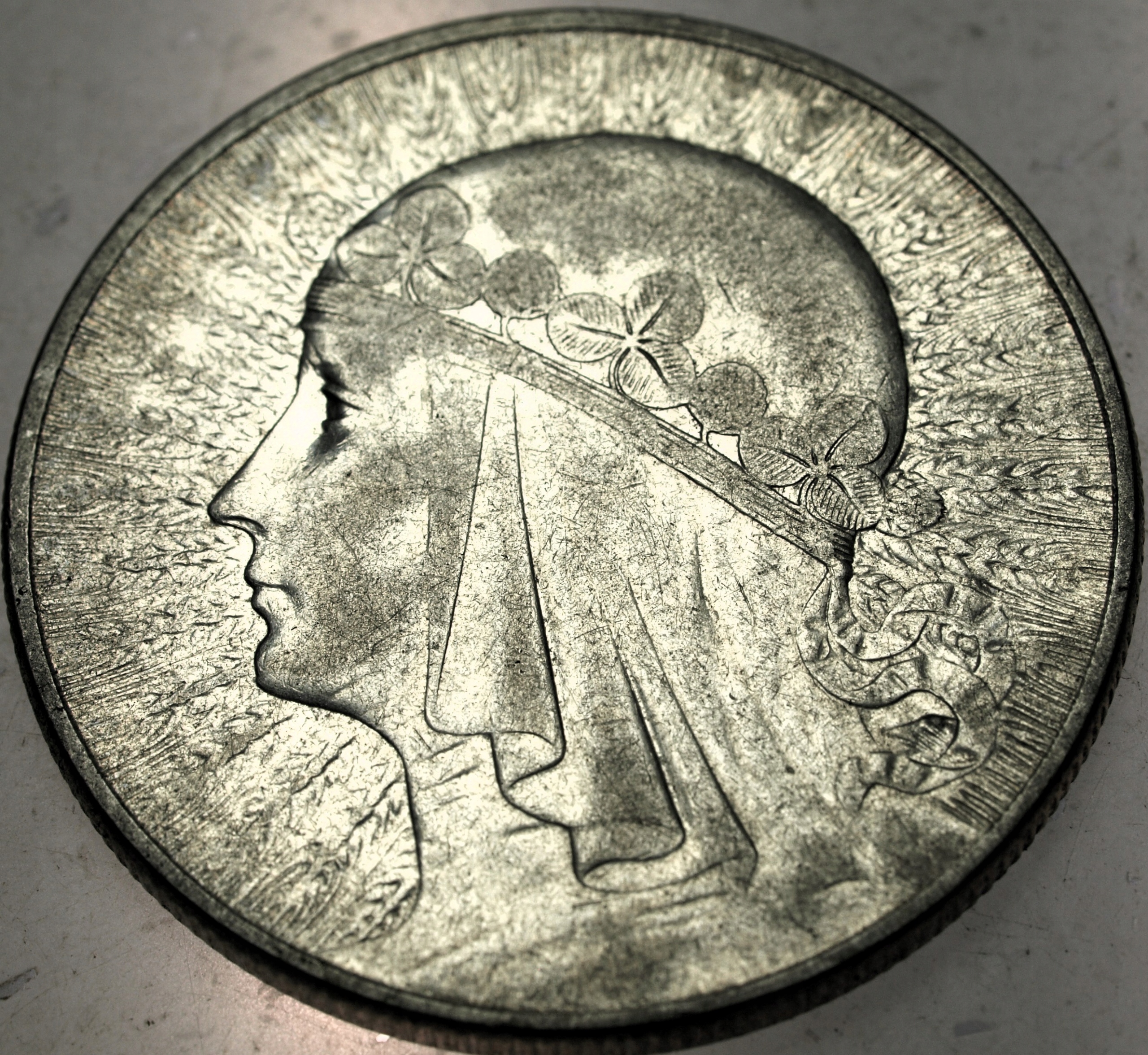 Zdjęcie 18561407004_0