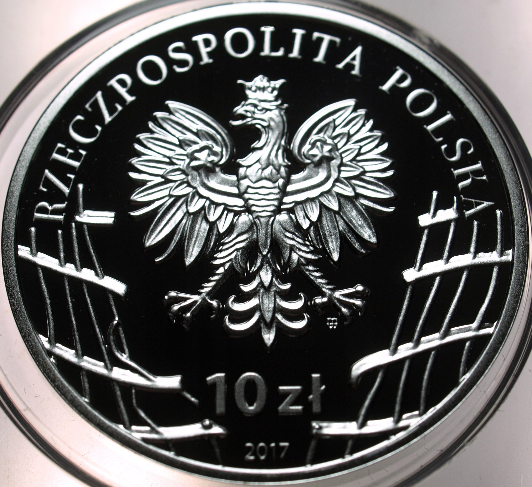 Zdjęcie 18564239103_2