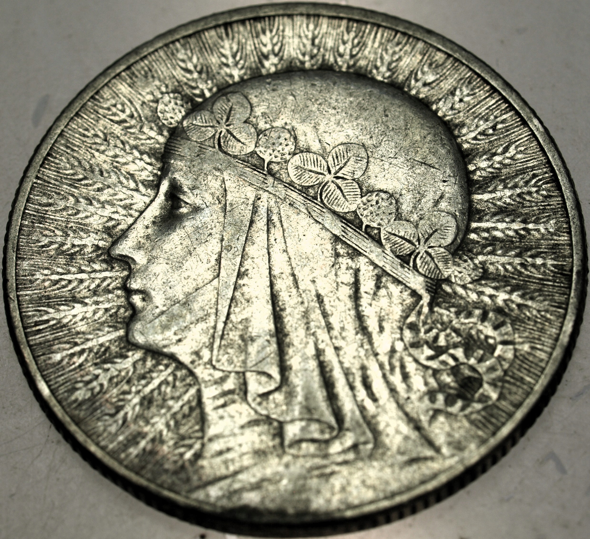 Zdjęcie 18564608980_0