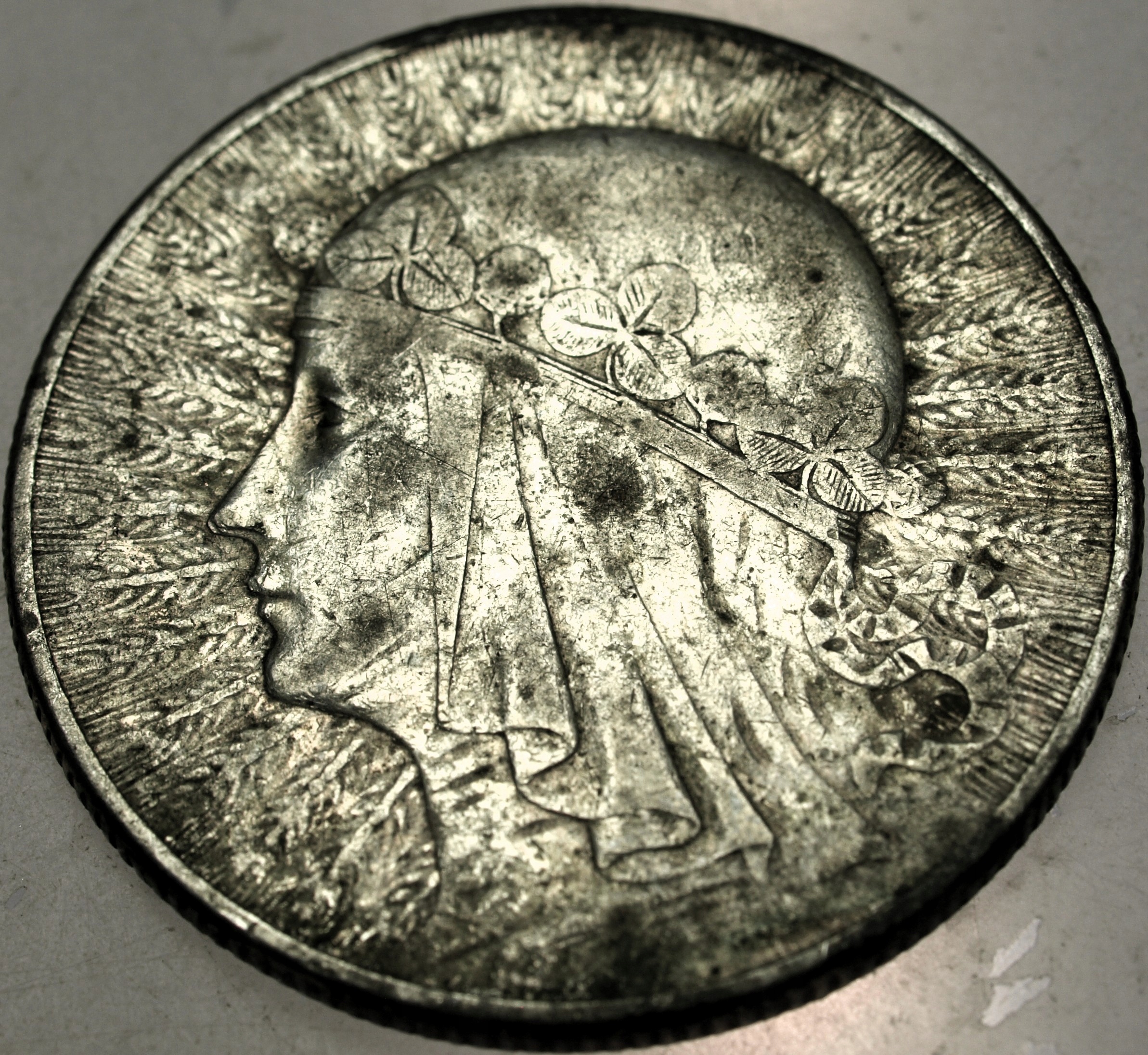 Zdjęcie 18564612482_0