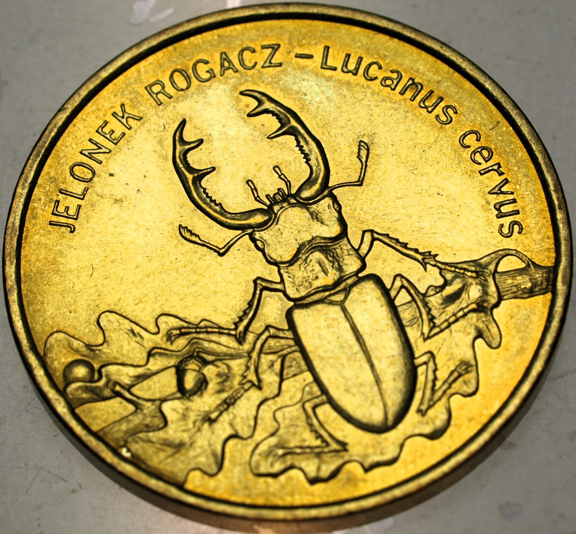 Zdjęcie 18567217163_0