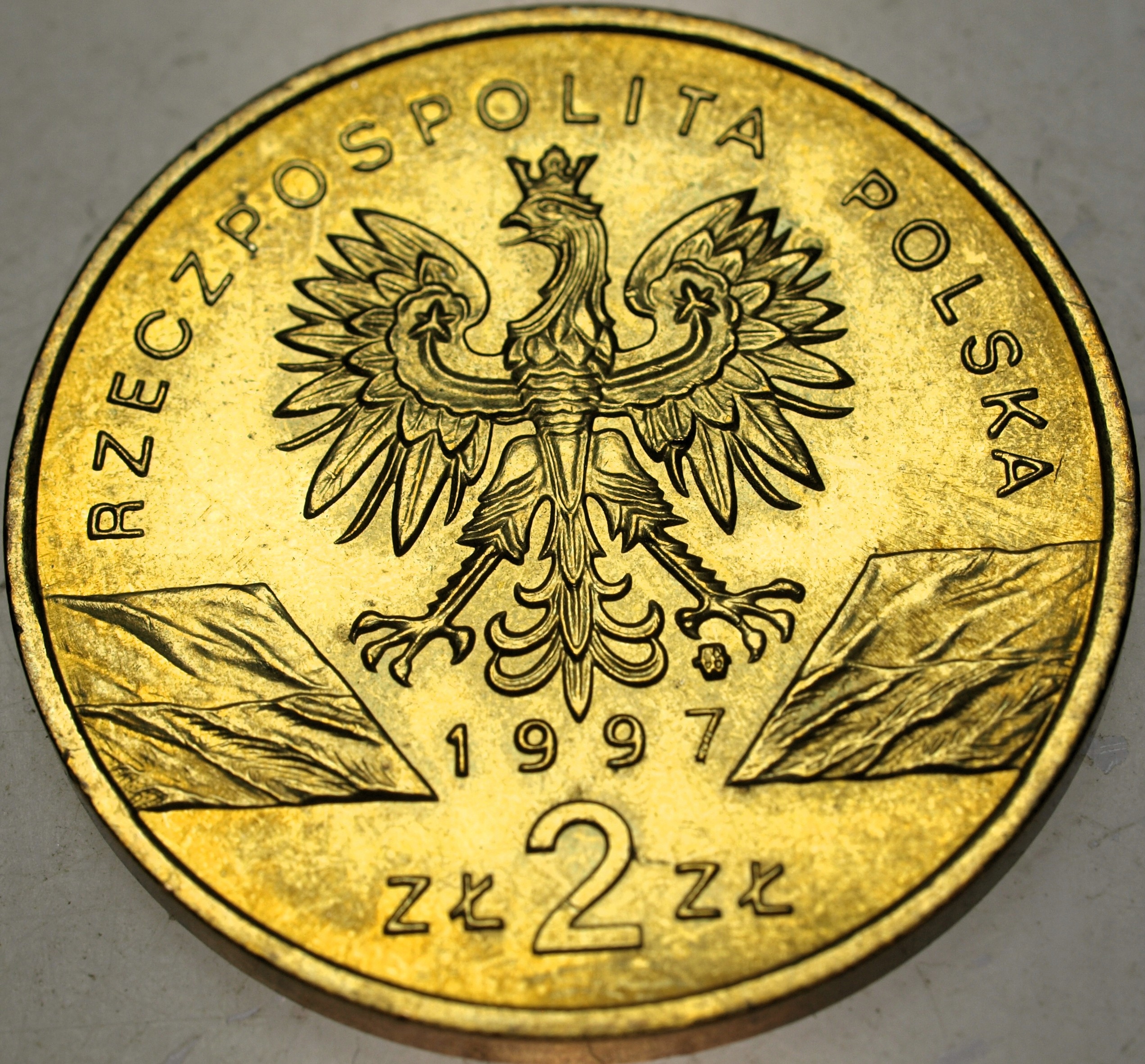 Zdjęcie 18567217163_1