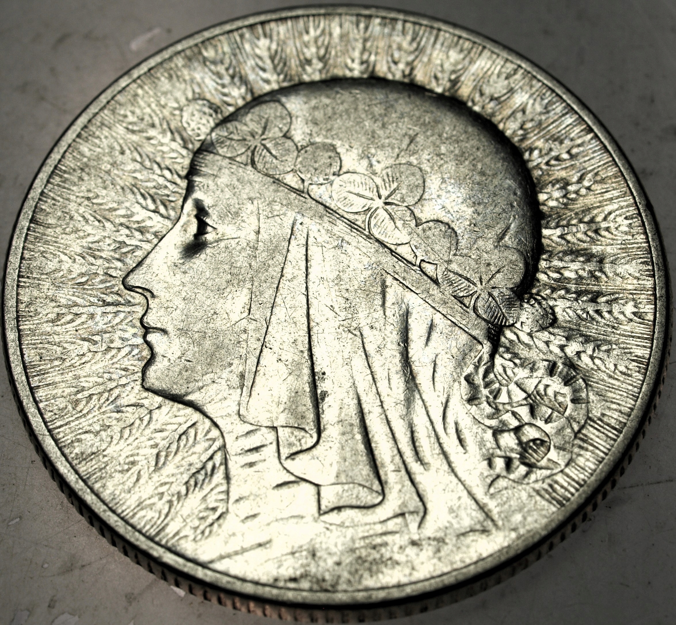 Zdjęcie 18567229527_0