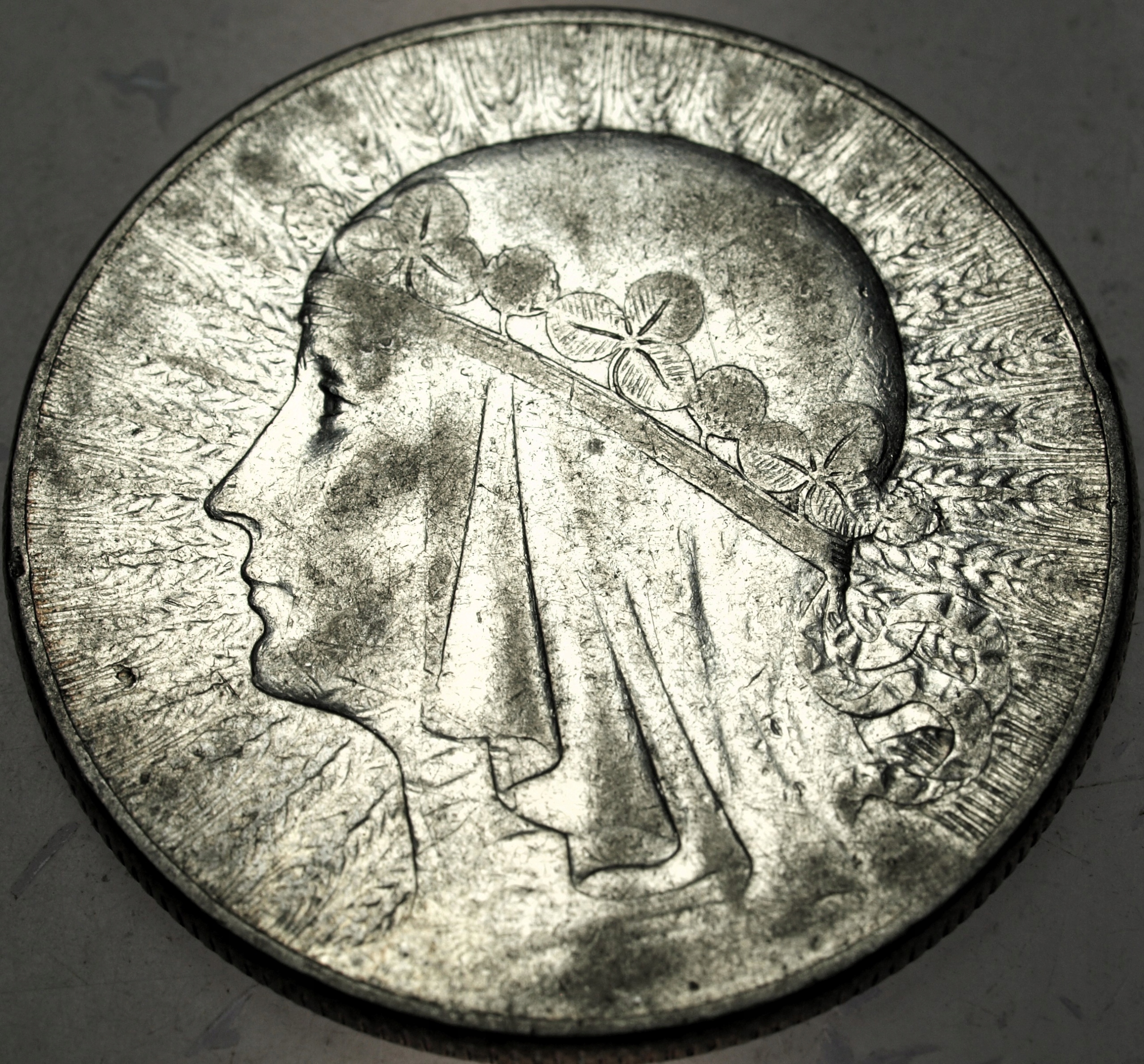 Zdjęcie 18567267086_0