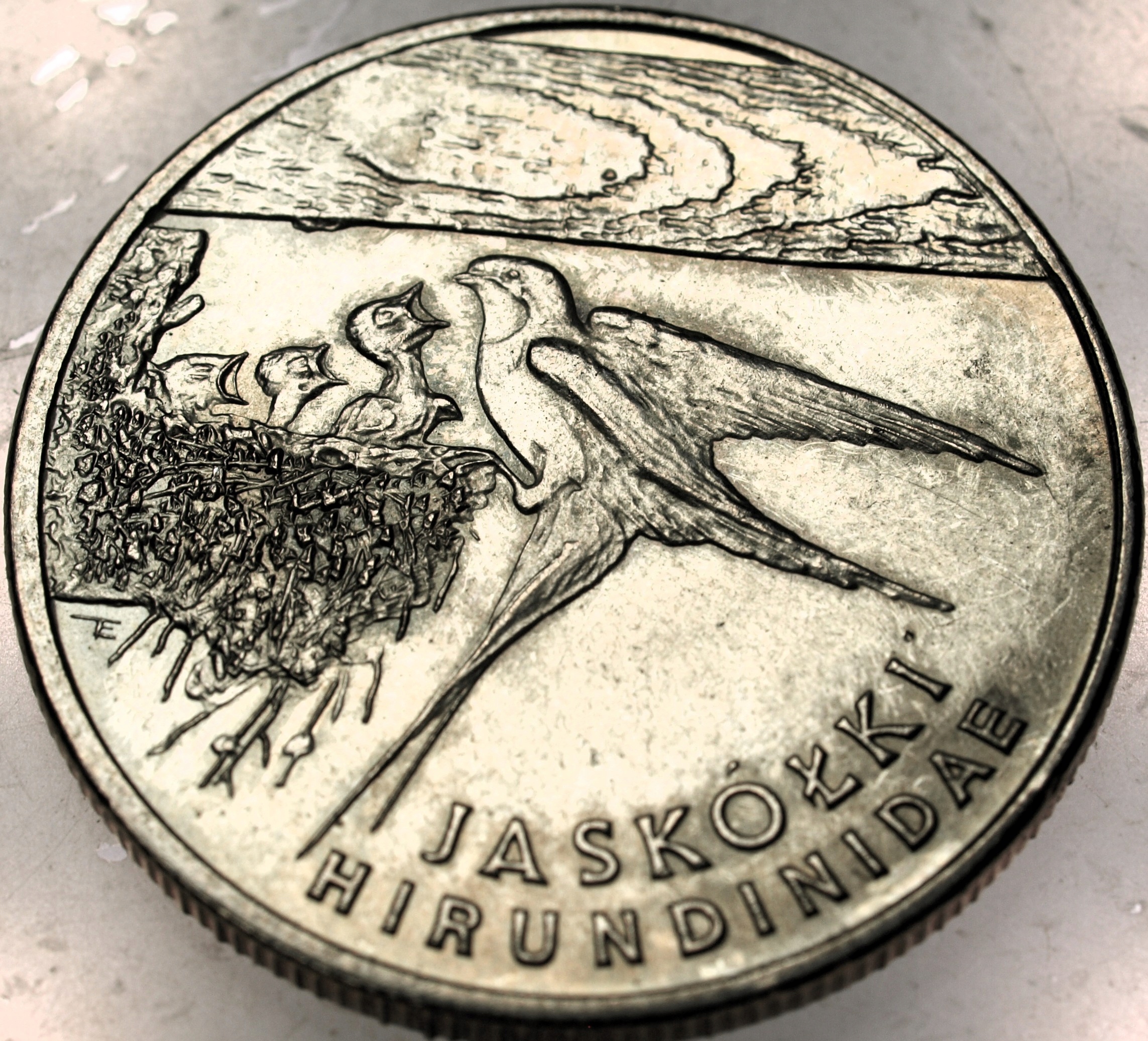 Zdjęcie 18567325748_0
