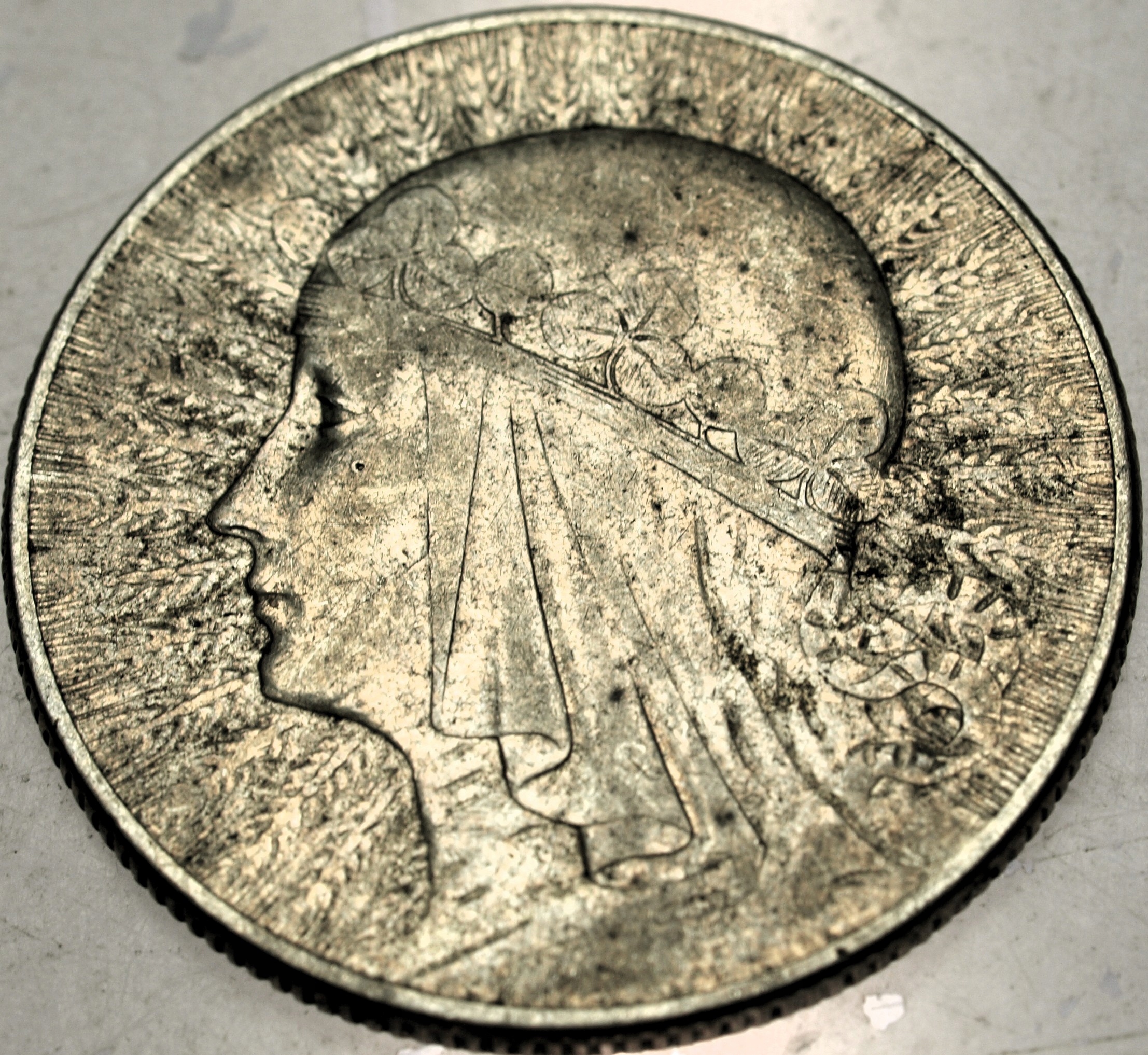 Zdjęcie 18567726685_0