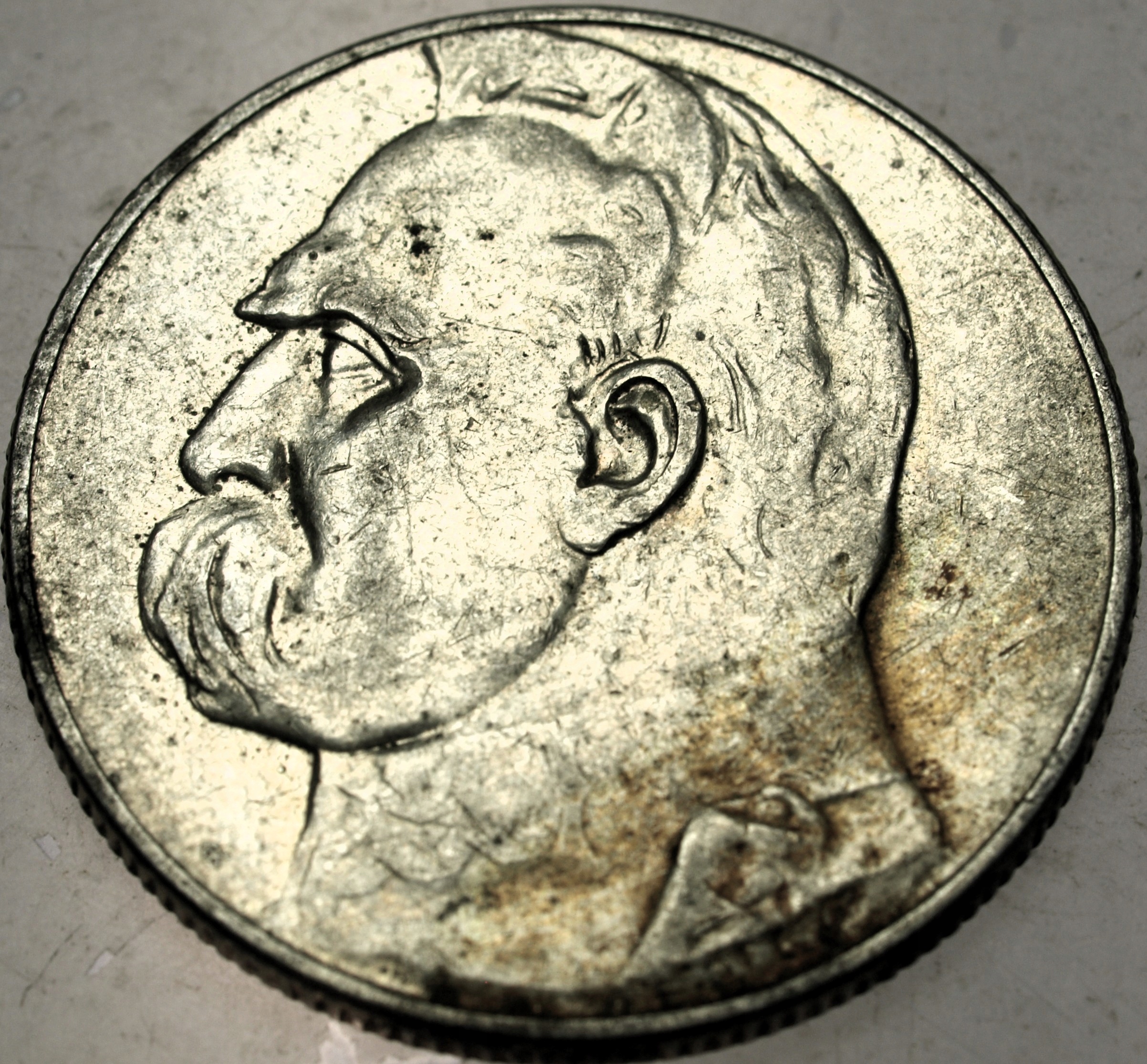 Zdjęcie 18567731824_0