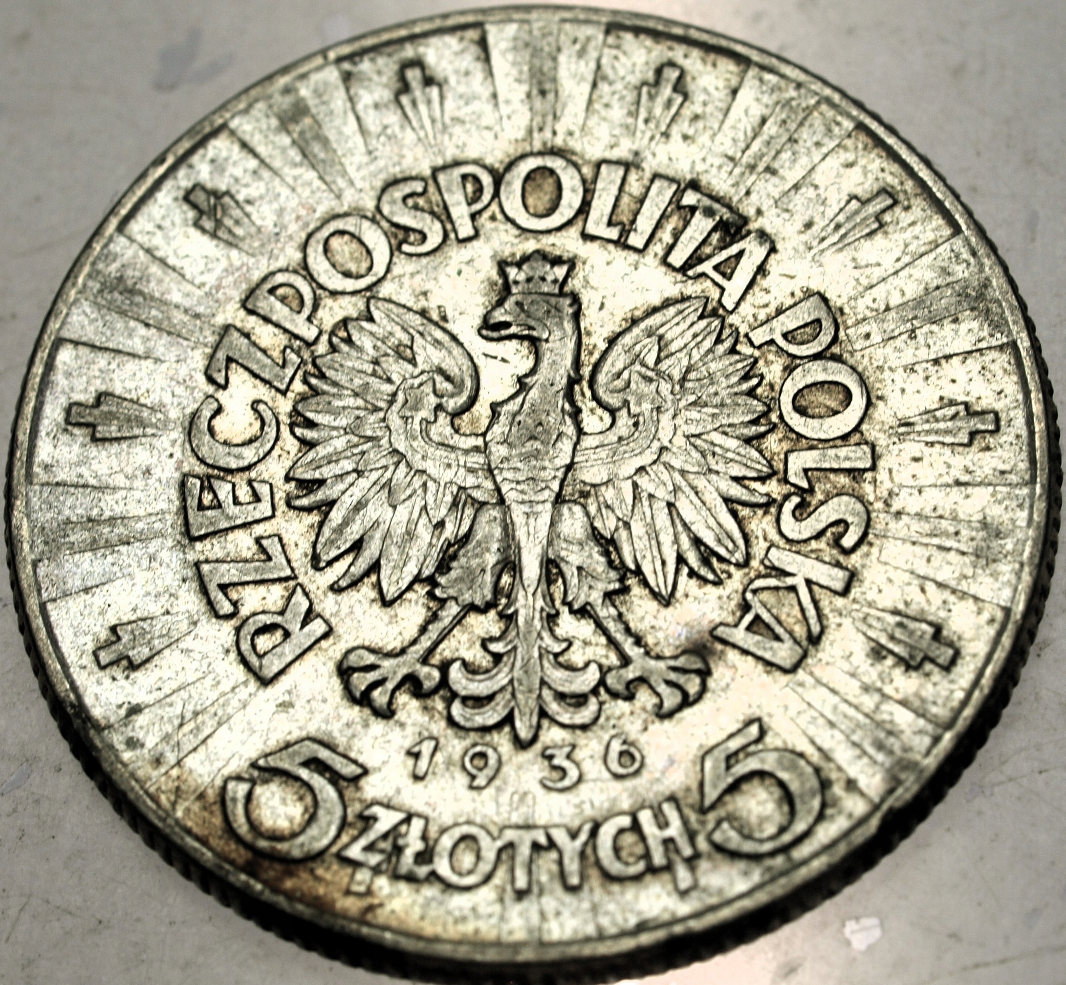 Zdjęcie 18567734000_1