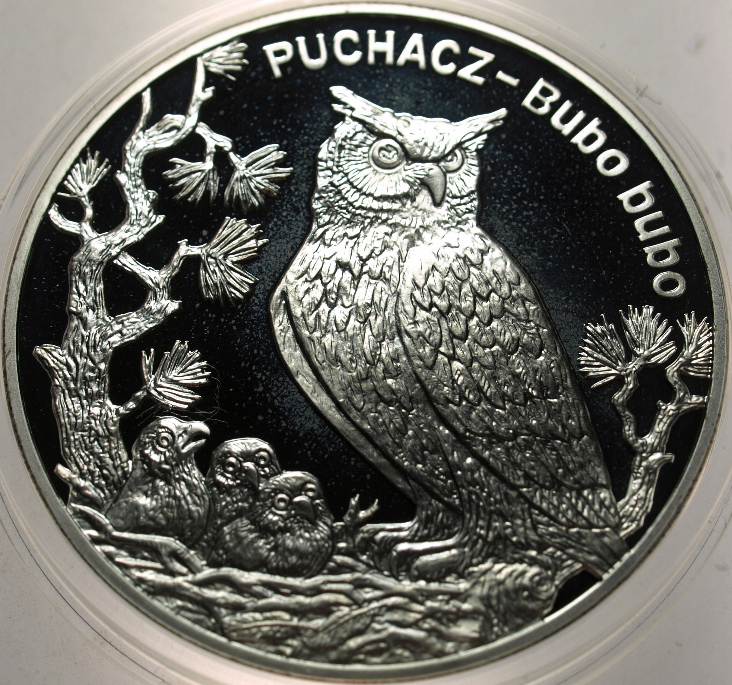 Zdjęcie 18567762518_0