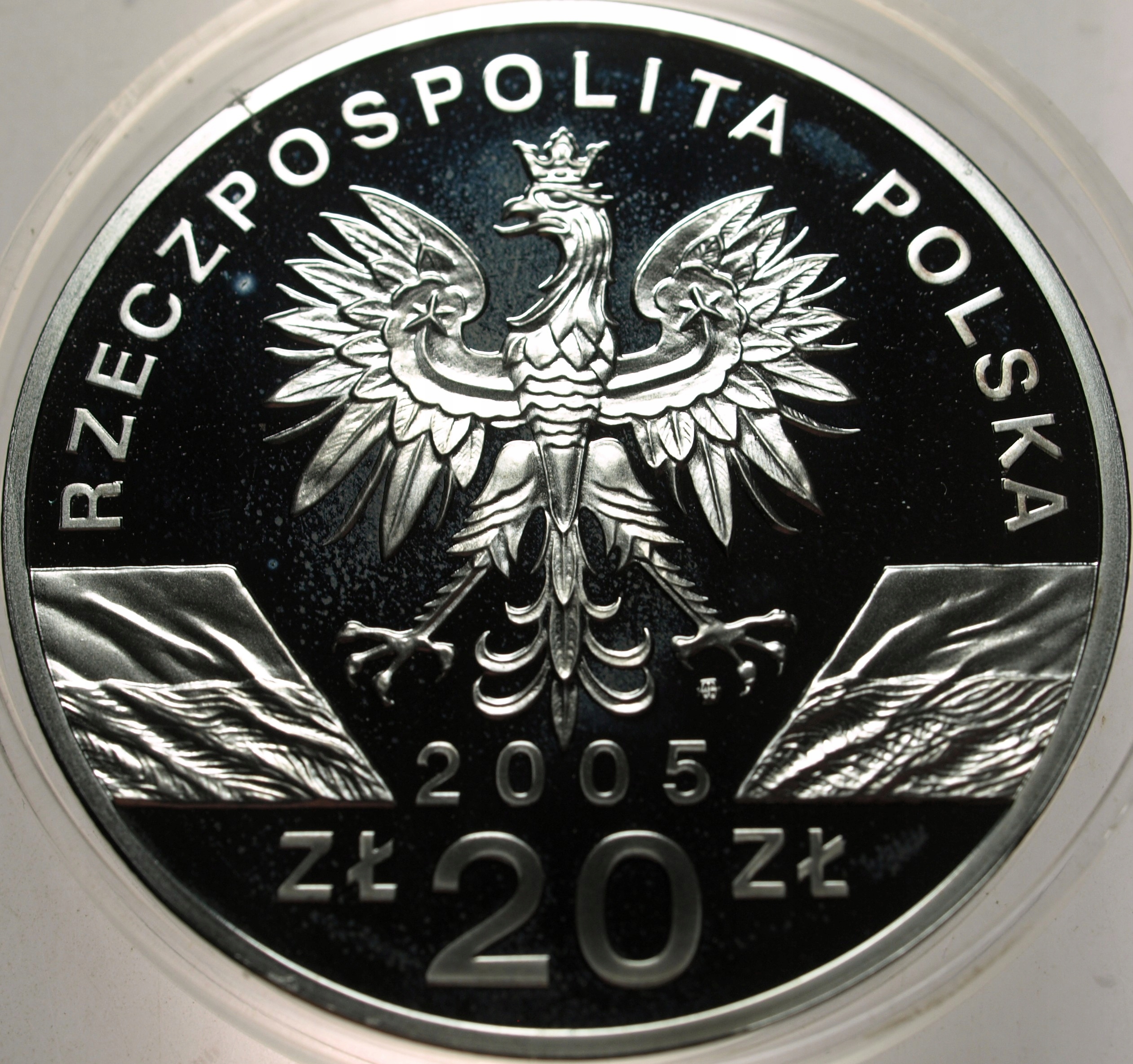 Zdjęcie 18567762518_1