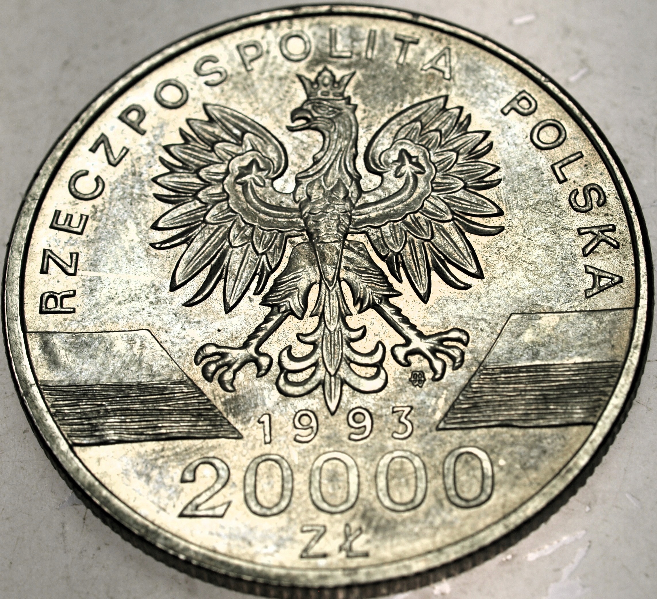 Zdjęcie 18567768909_1
