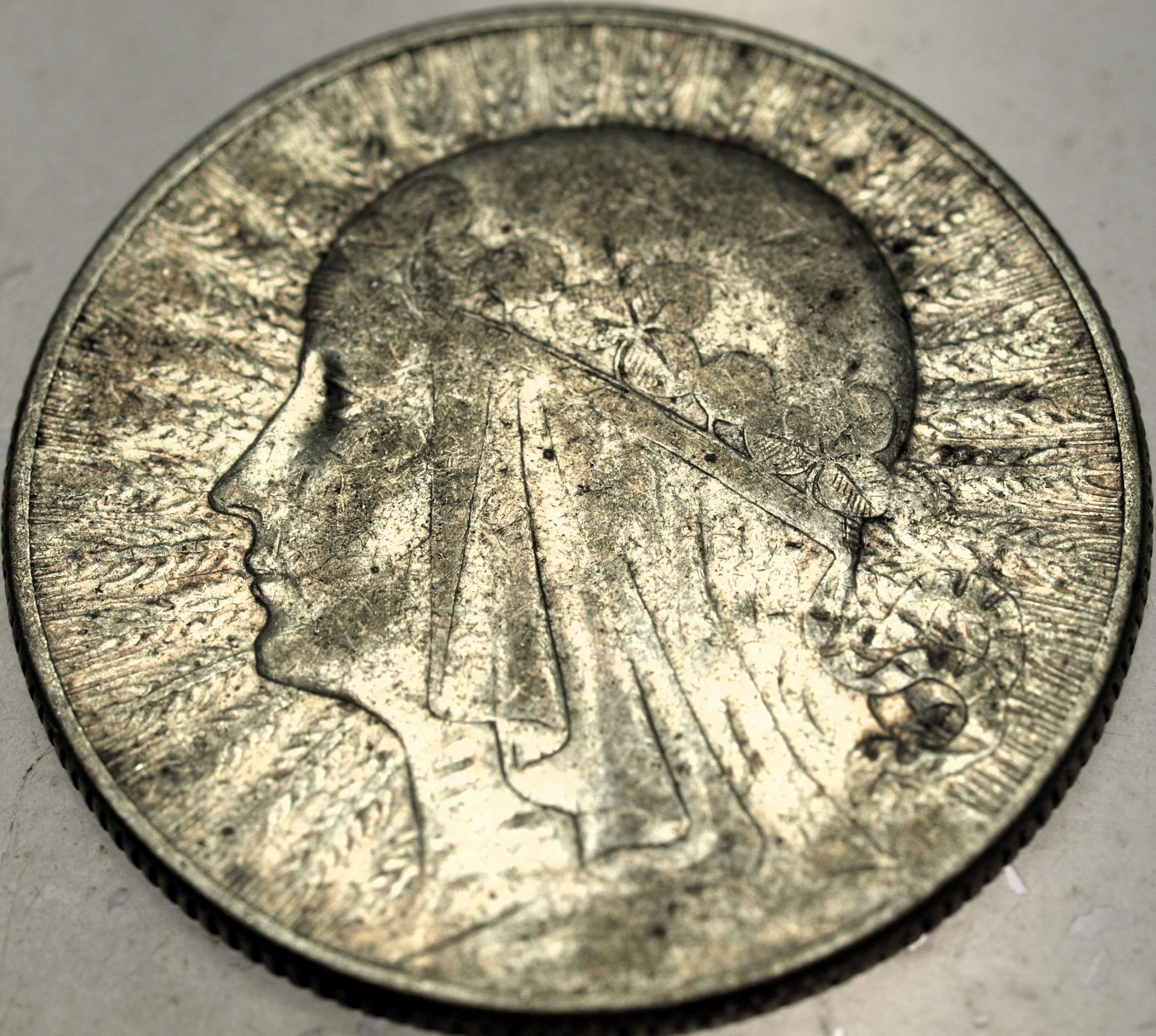 Zdjęcie 18570244756_0