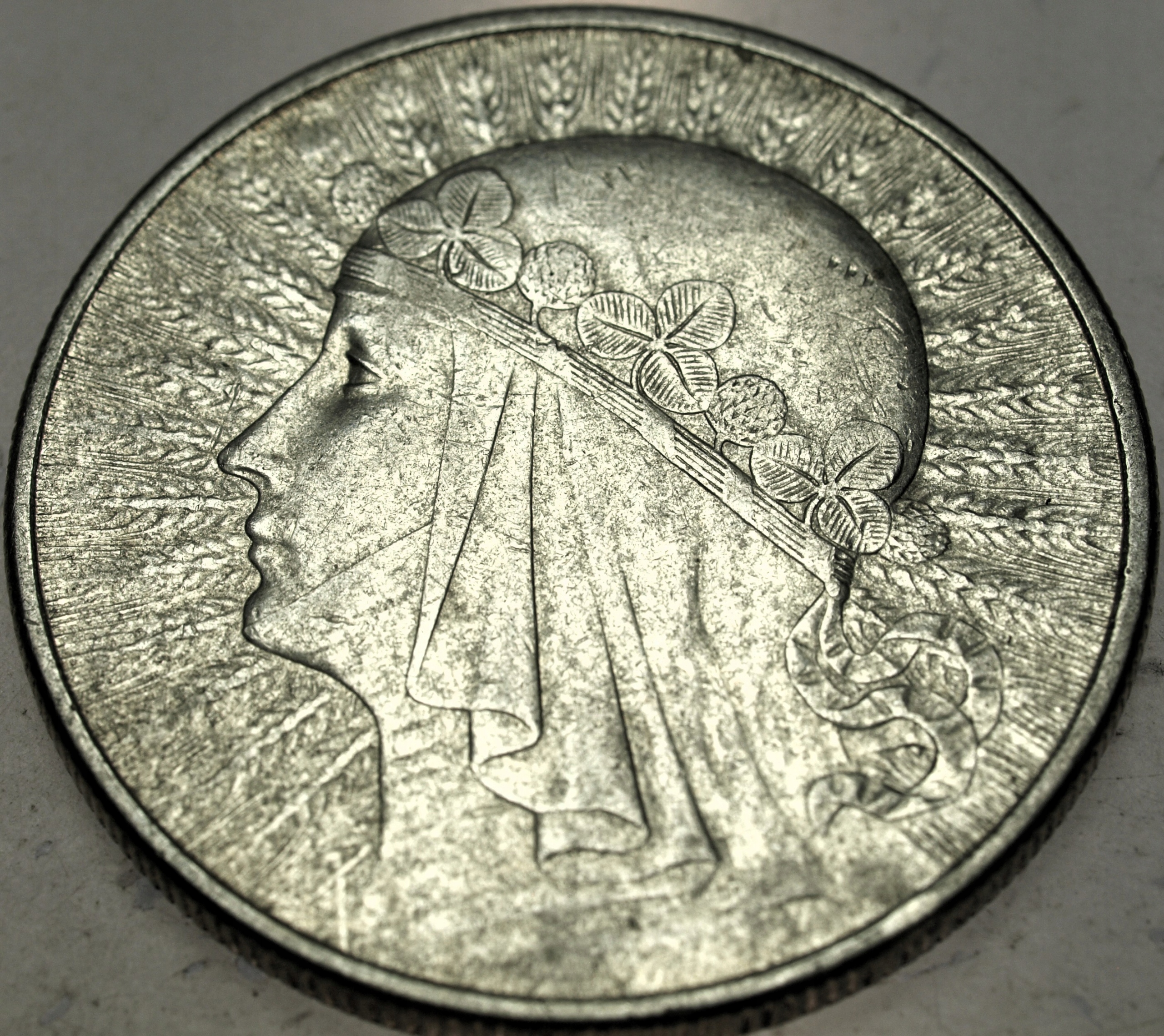 Zdjęcie 18570262013_0