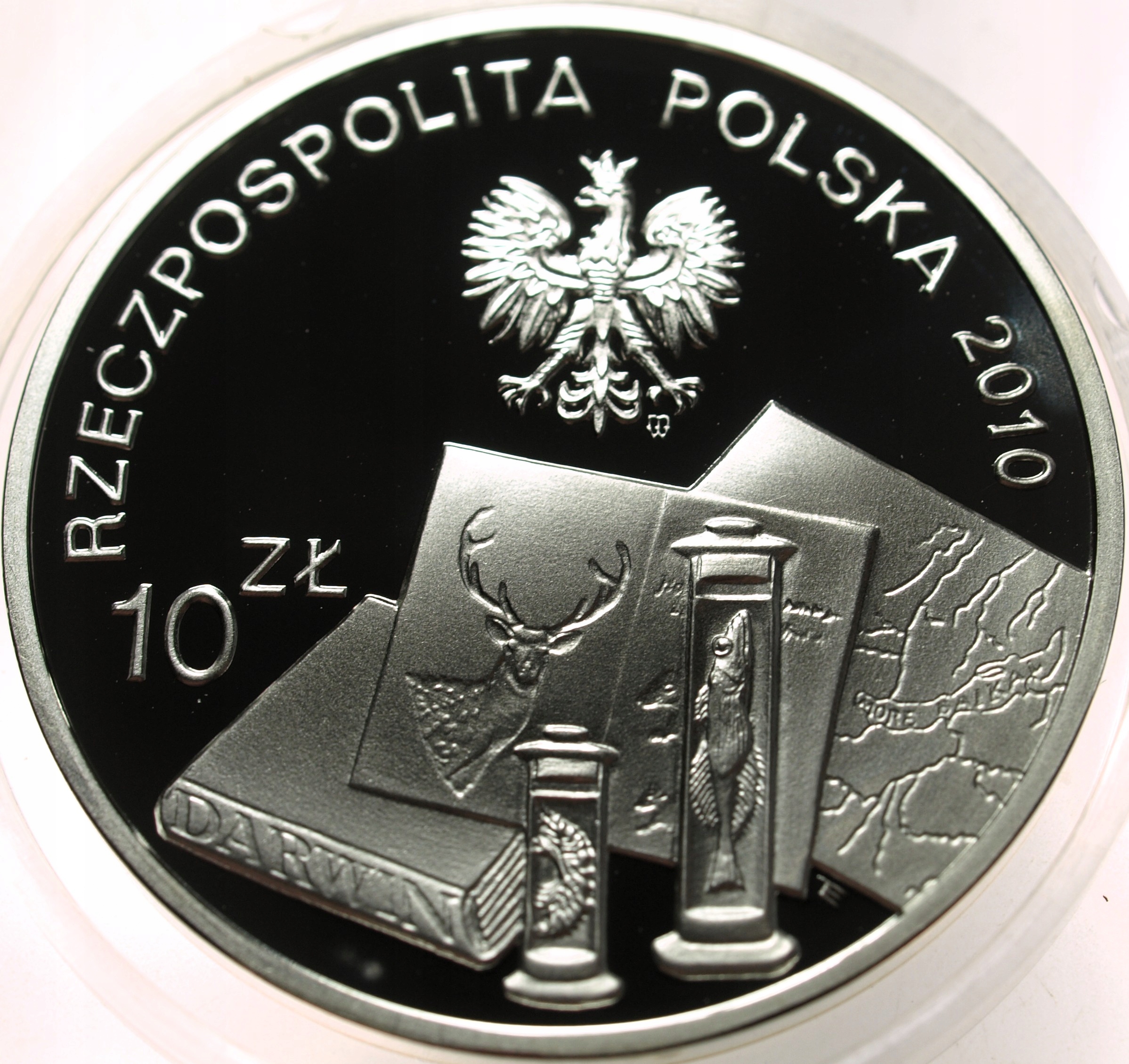 Zdjęcie 18570291020_1