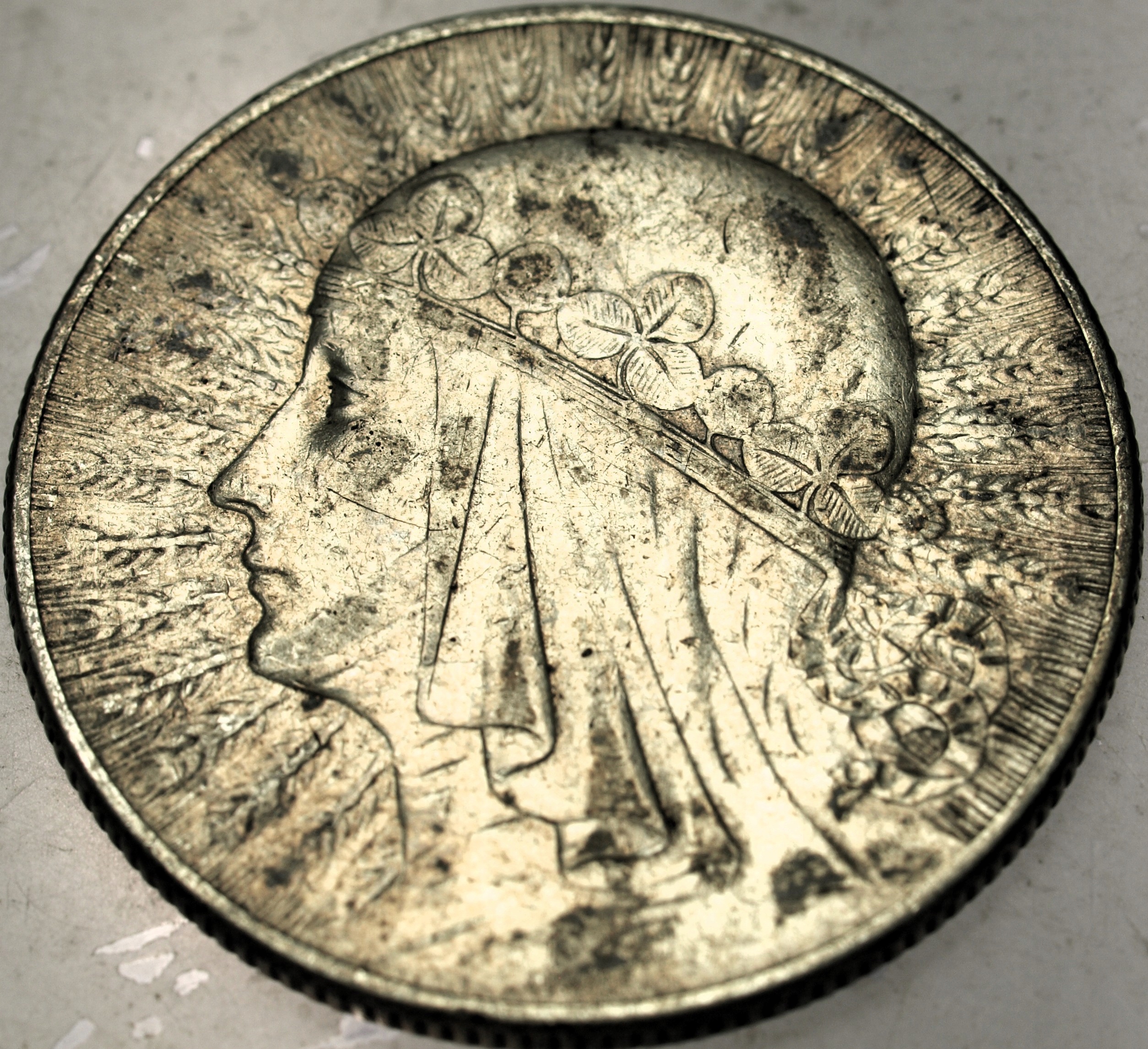 Zdjęcie 18570519574_0