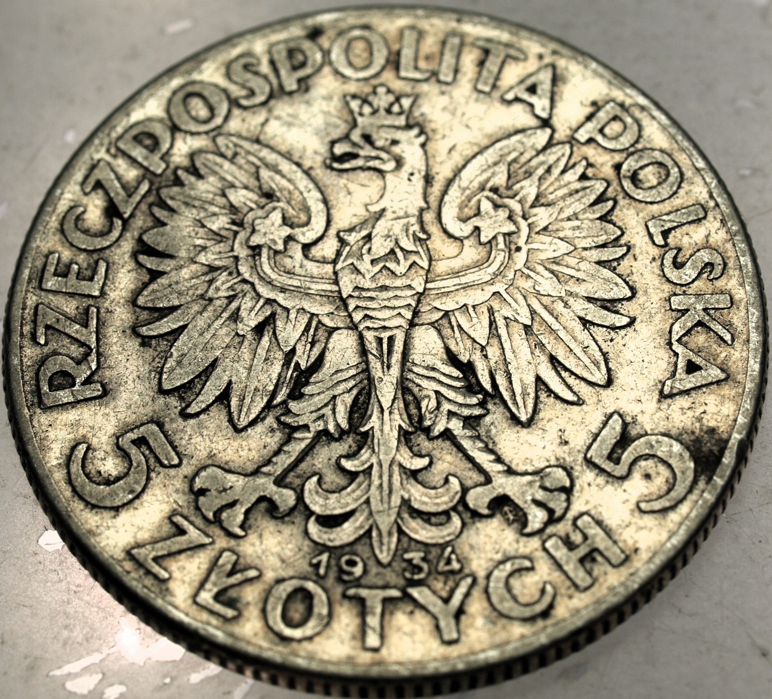 Zdjęcie 18584571656_1