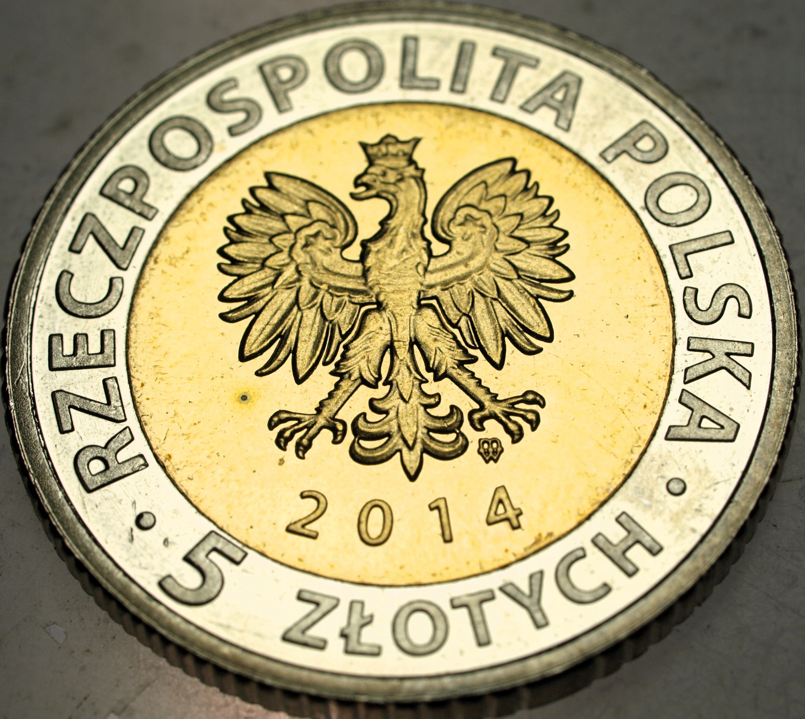 Zdjęcie 18584578117_1