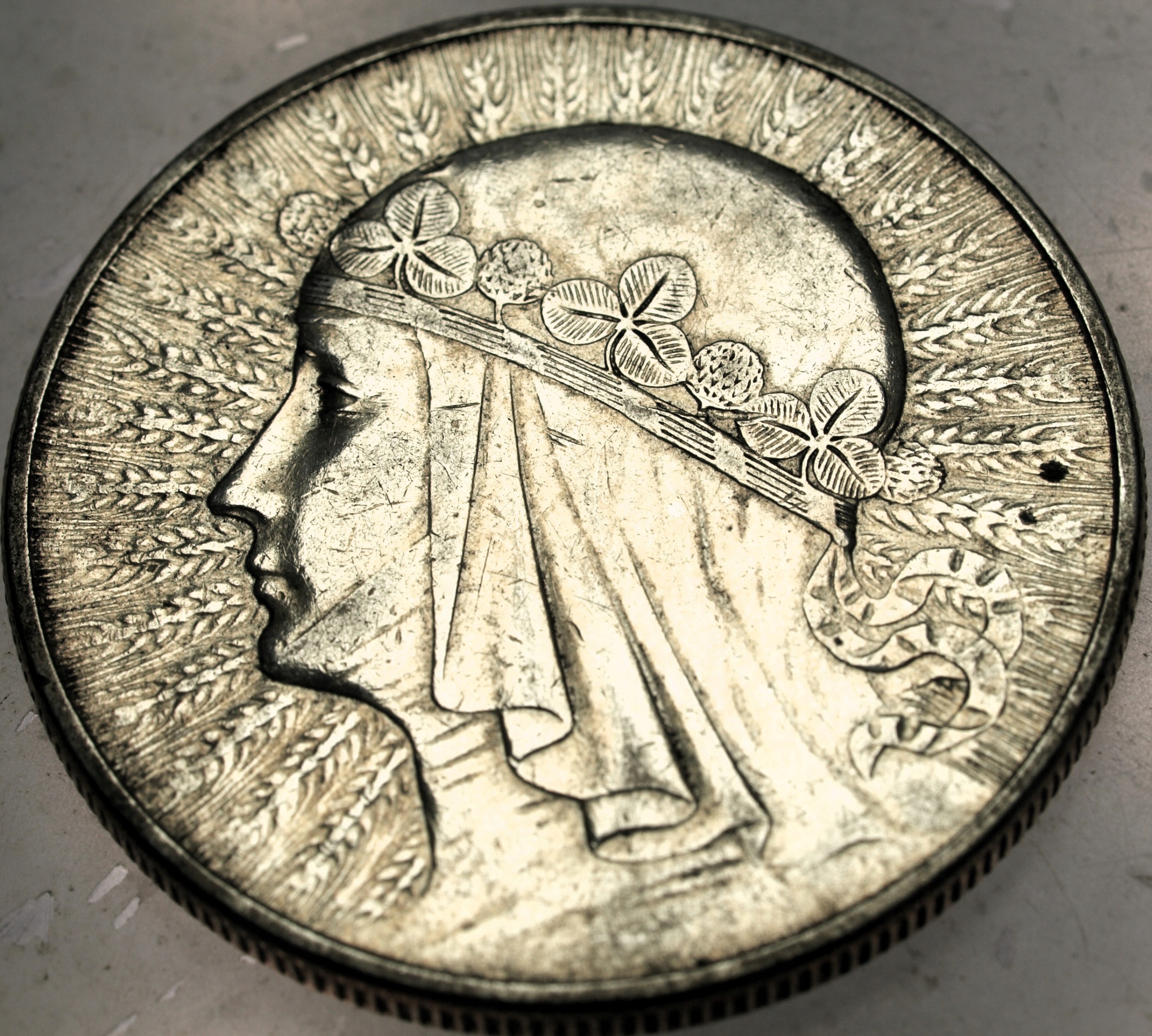 Zdjęcie 18584584724_0