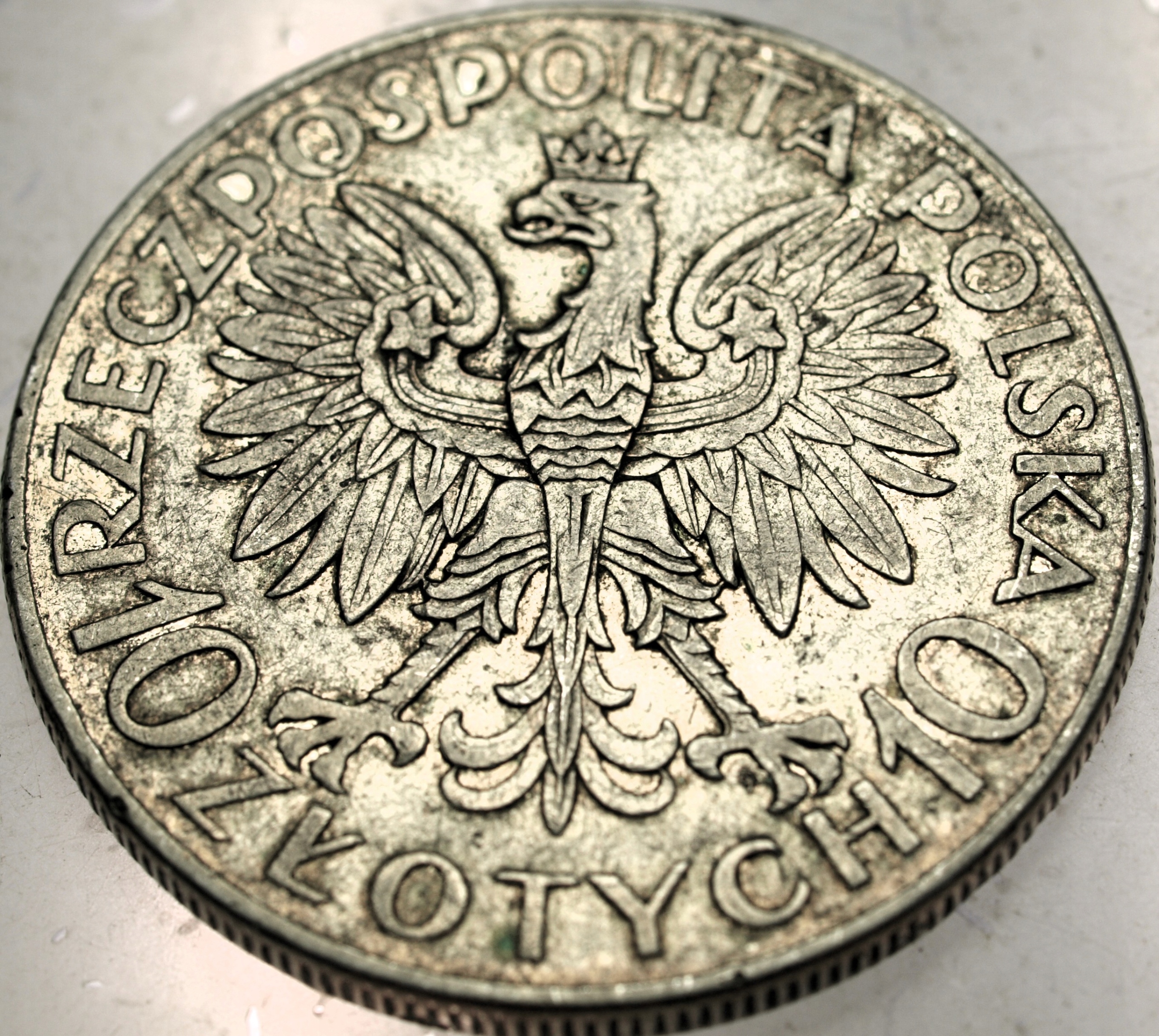 Zdjęcie 18584591226_1