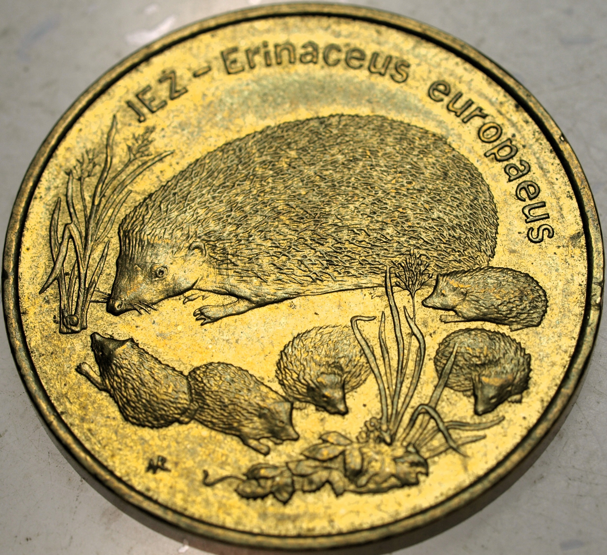 Zdjęcie 18590955305_0