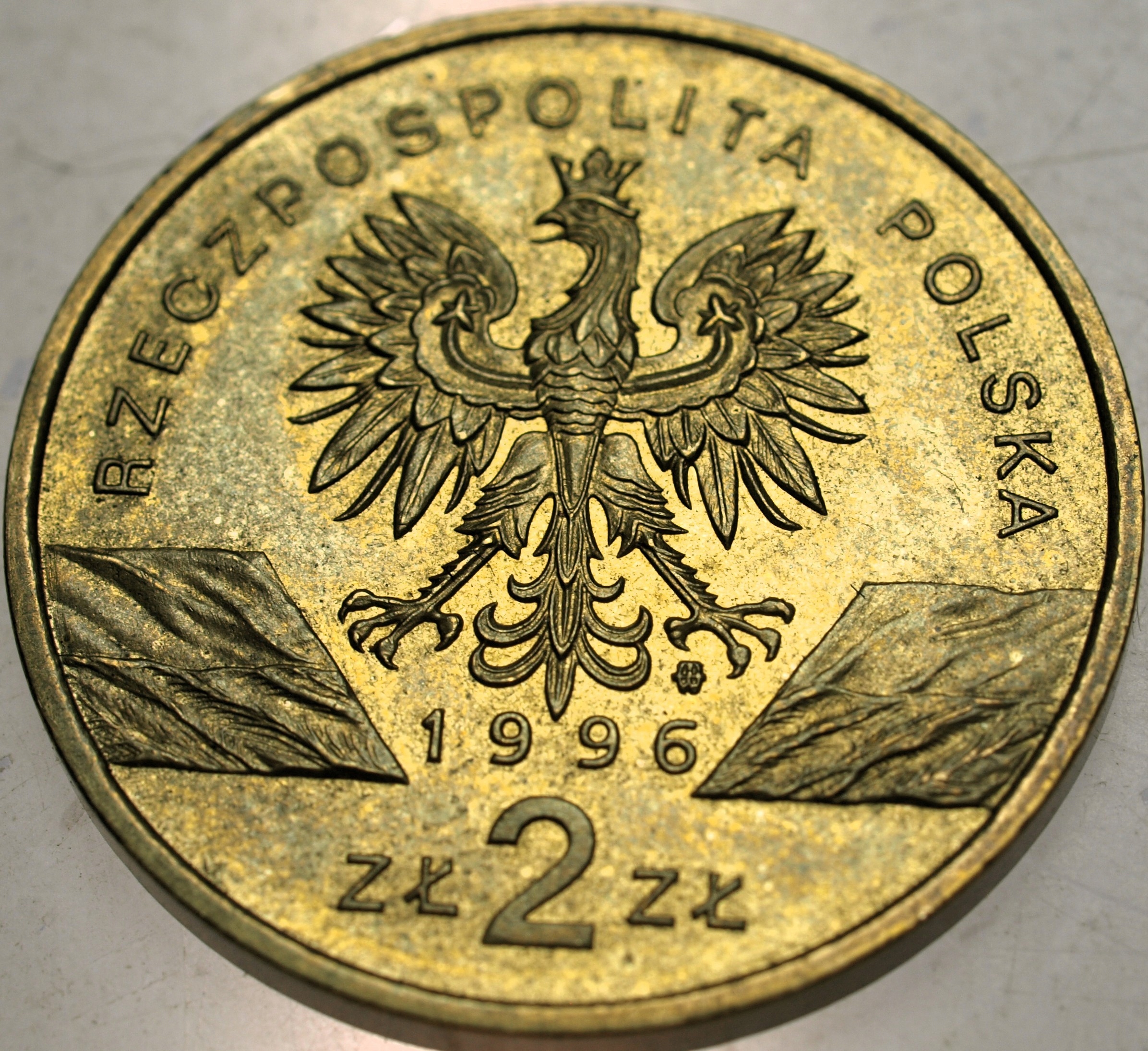 Zdjęcie 18590955305_1