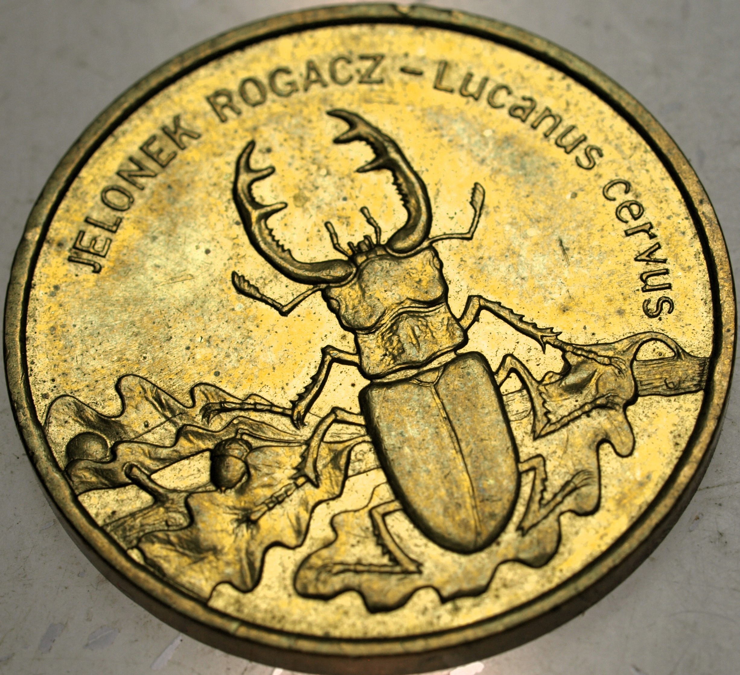 Zdjęcie 18590962917_0