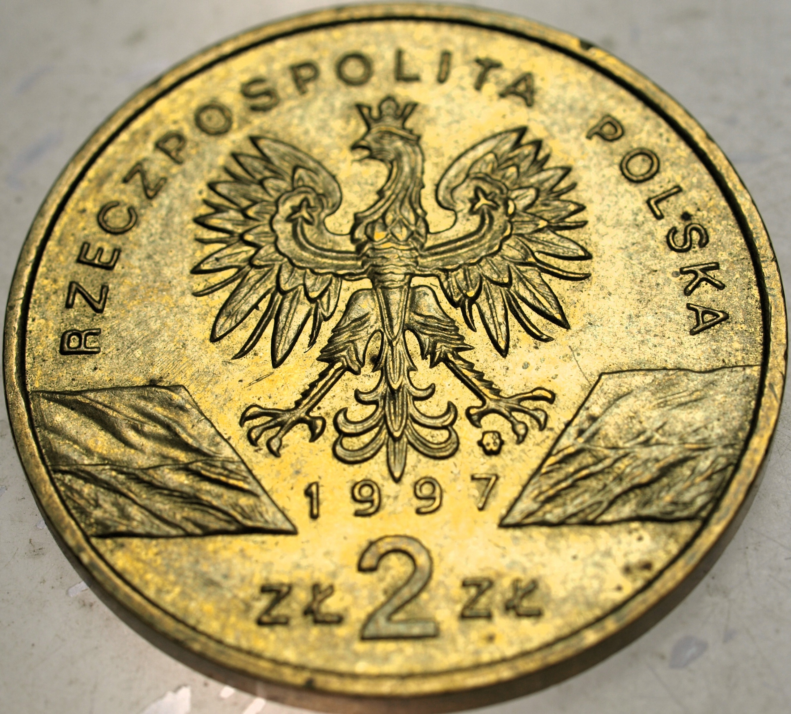 Zdjęcie 18590962917_1