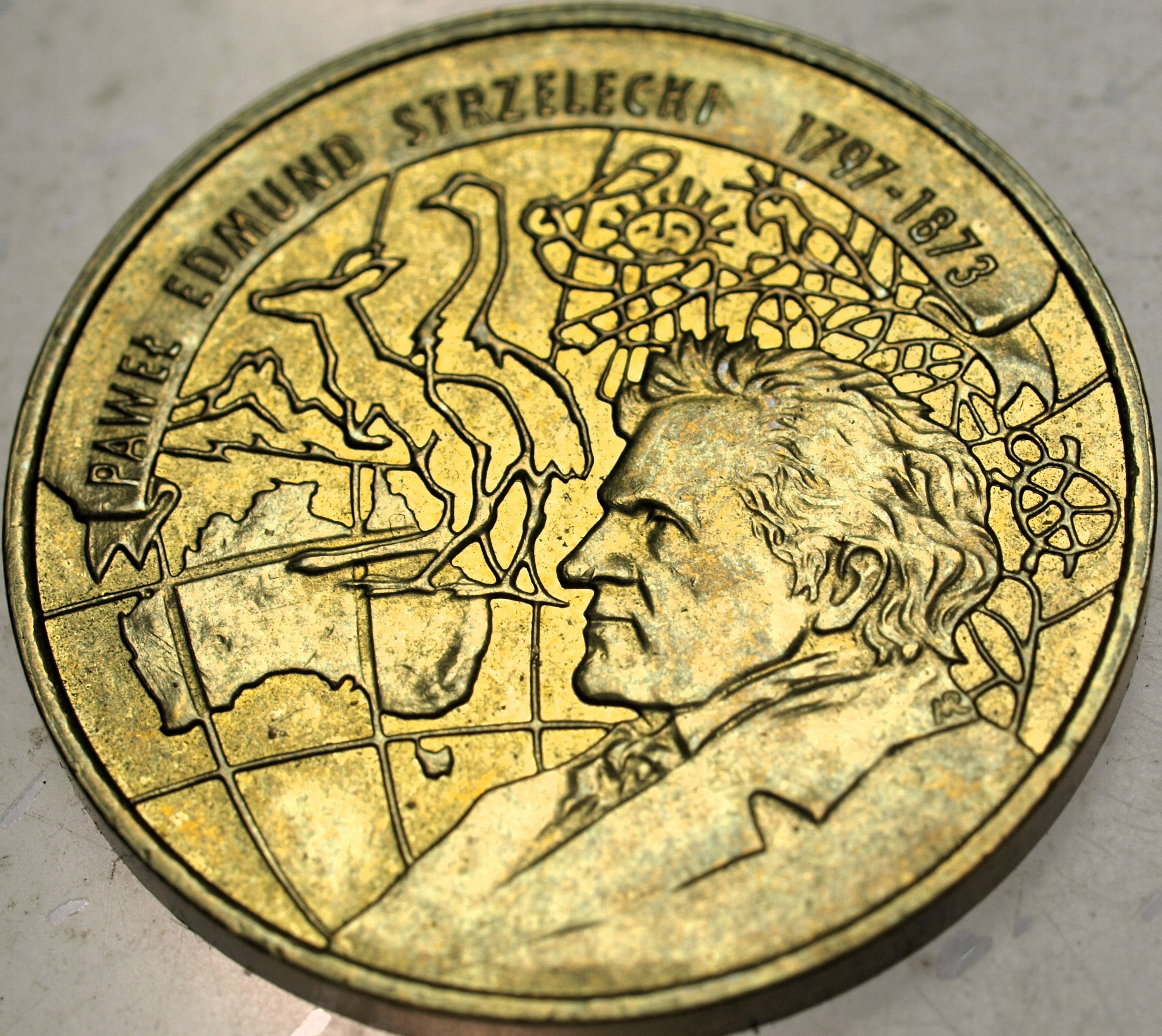 Zdjęcie 18590964968_0