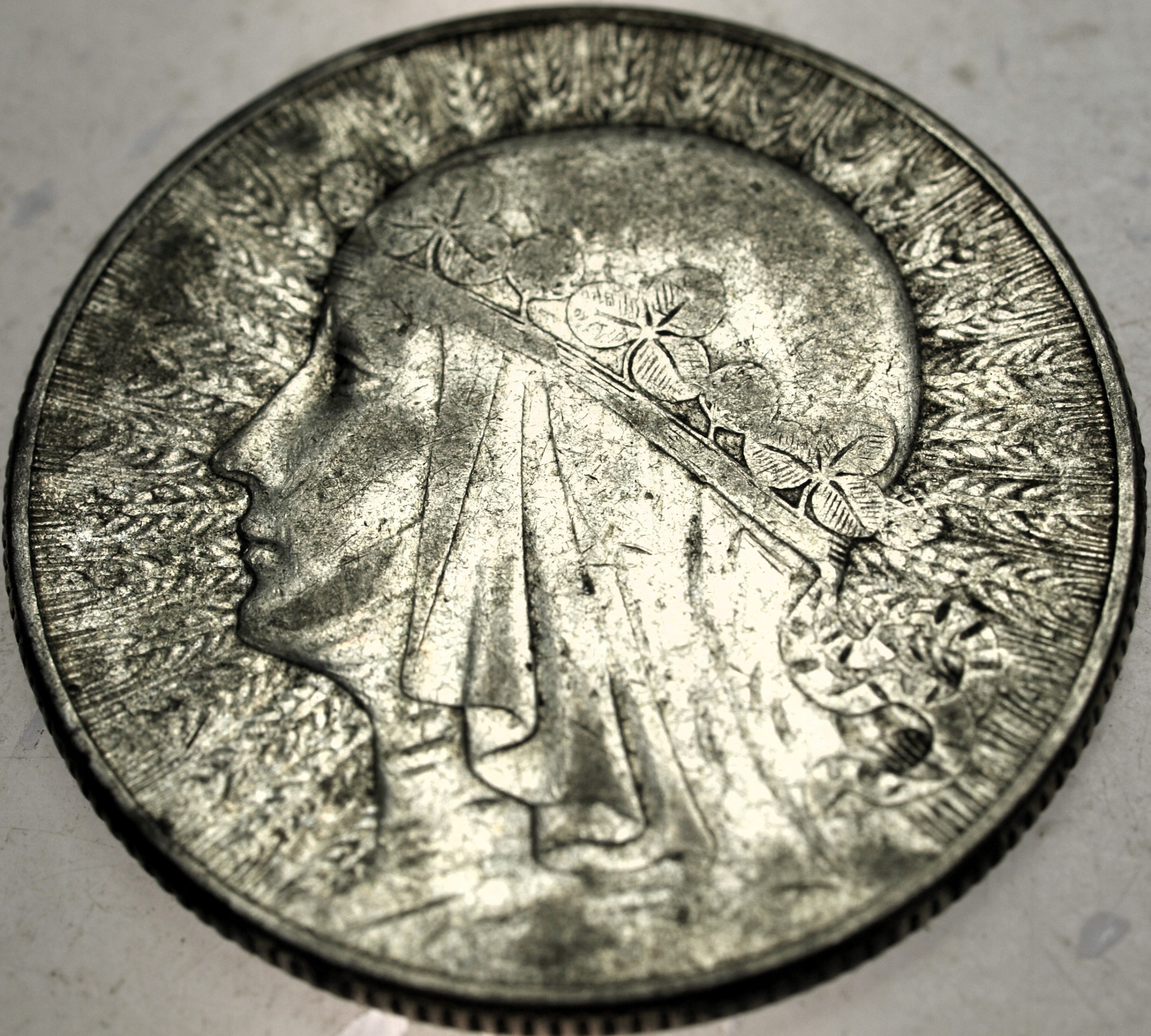 Zdjęcie 18590979765_0