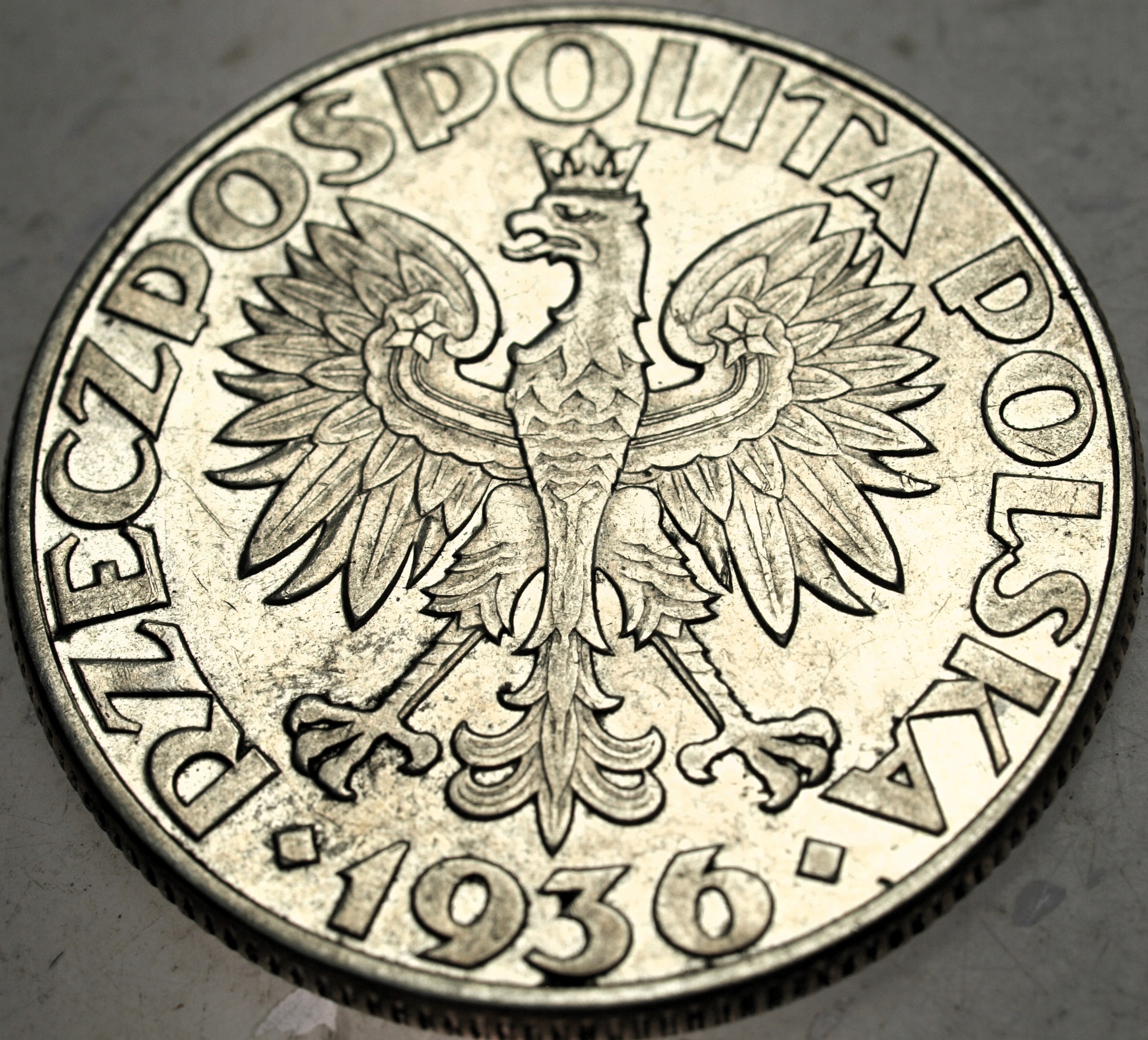 Zdjęcie 18590987213_1