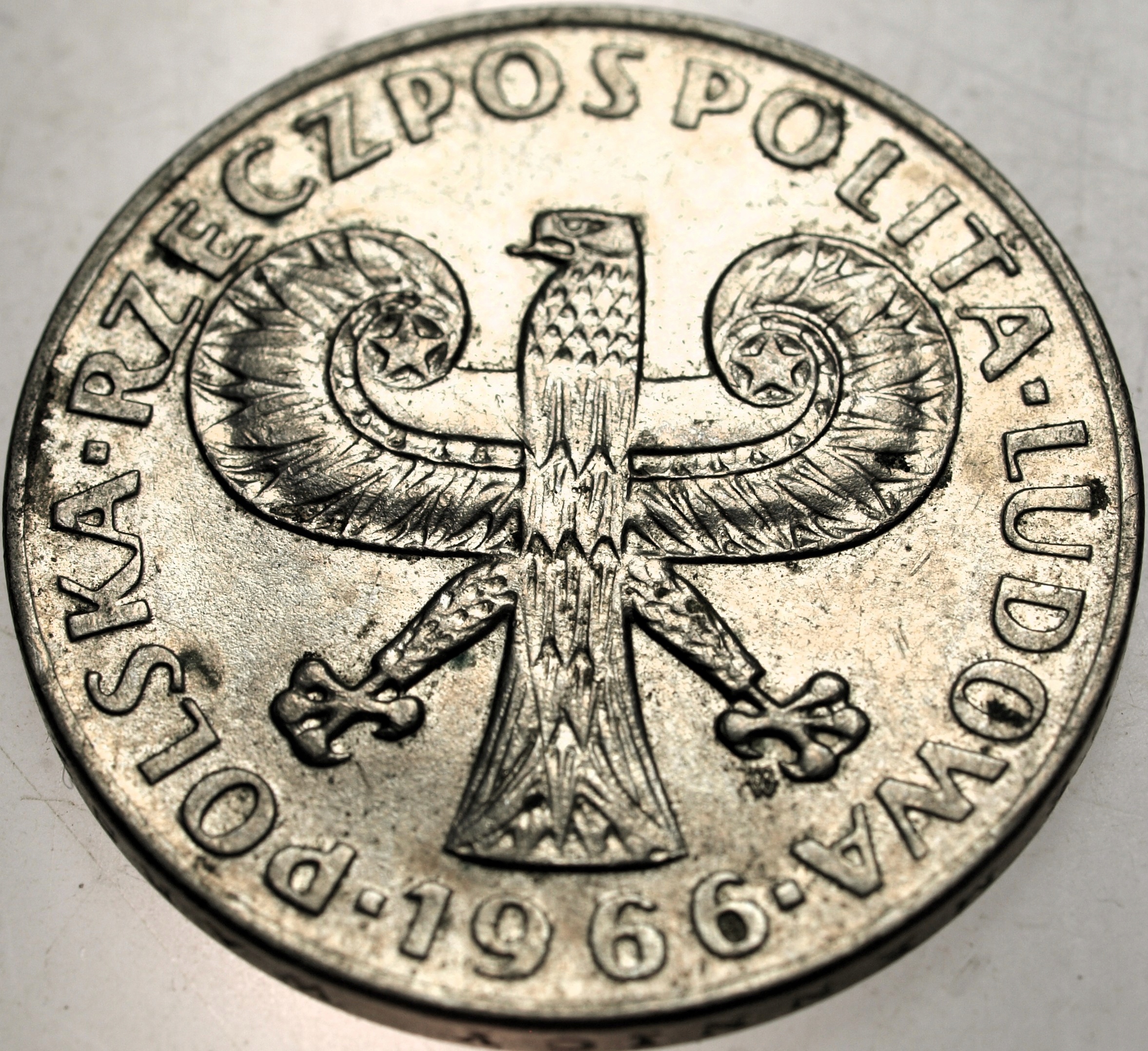 Zdjęcie 18591009799_1