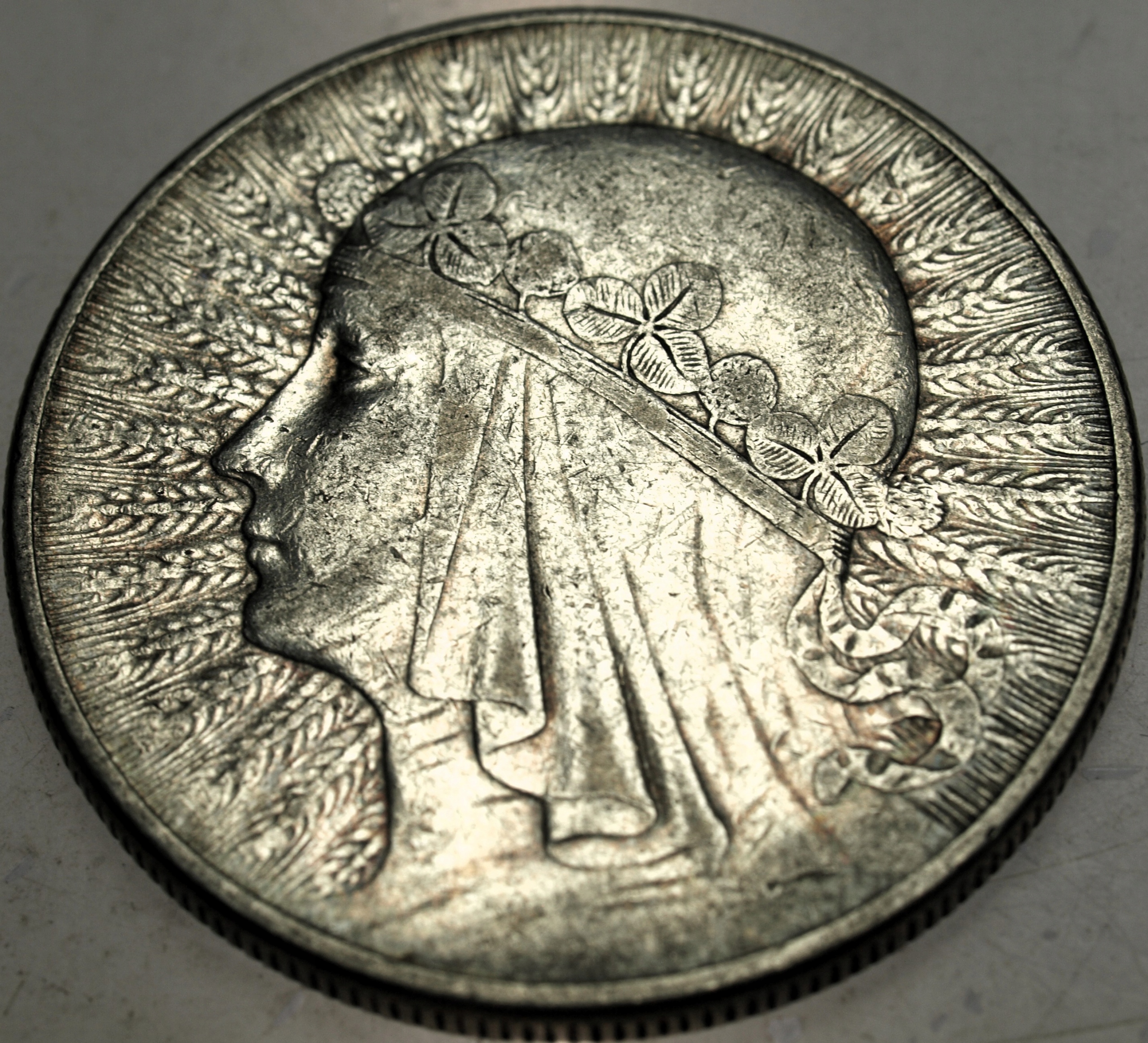 Zdjęcie 18597757308_0