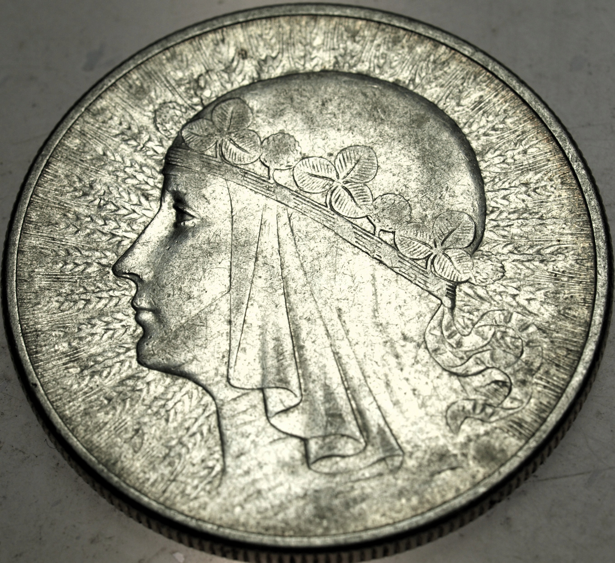 Zdjęcie 18600235523_0