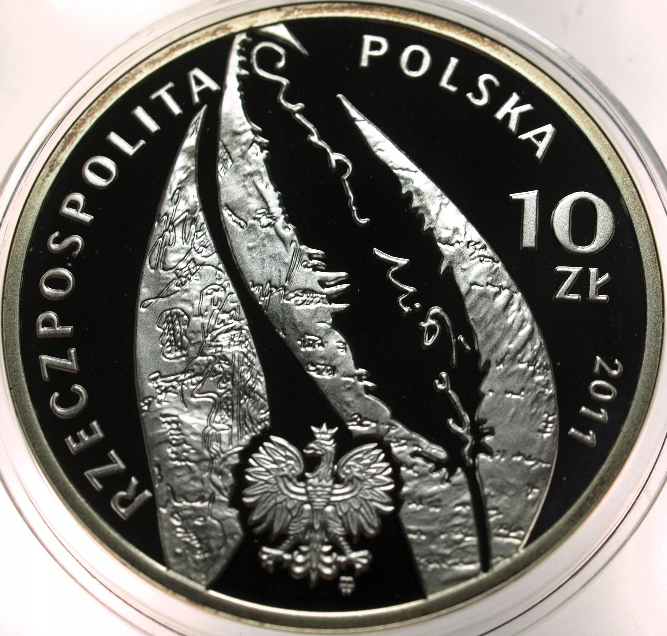 Zdjęcie 18600266182_1