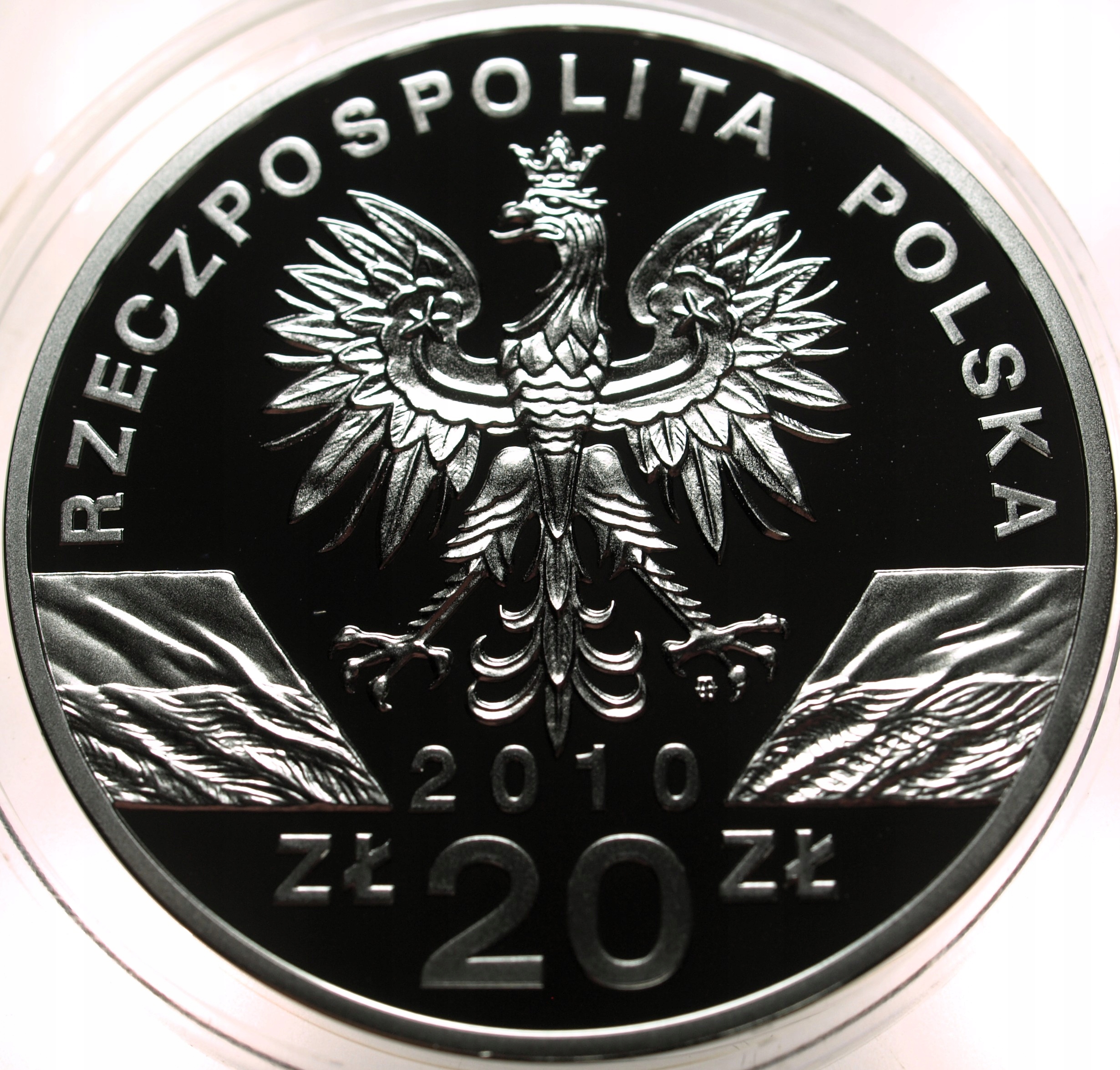 Zdjęcie 18600272536_1