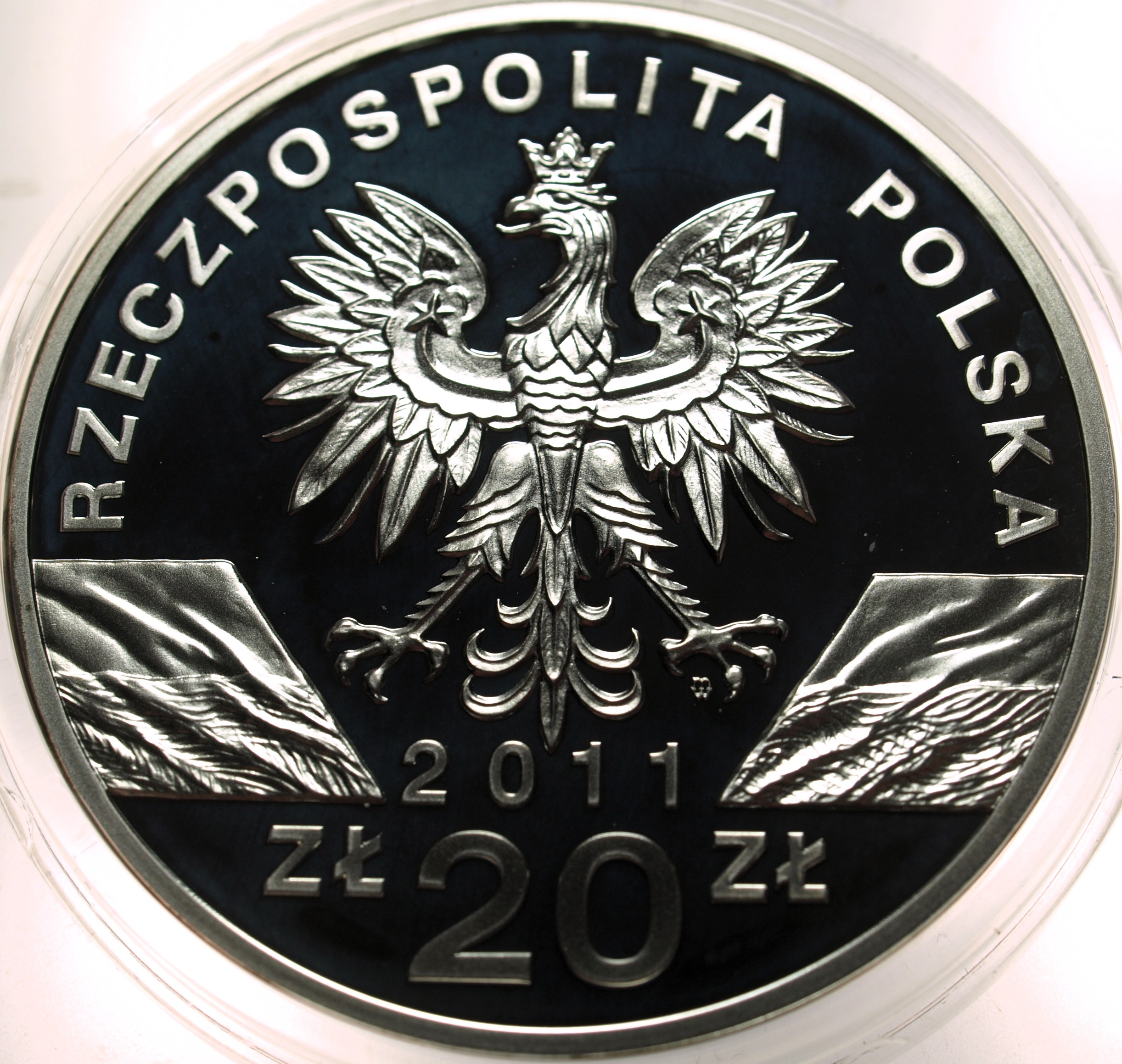 Zdjęcie 18600275083_1