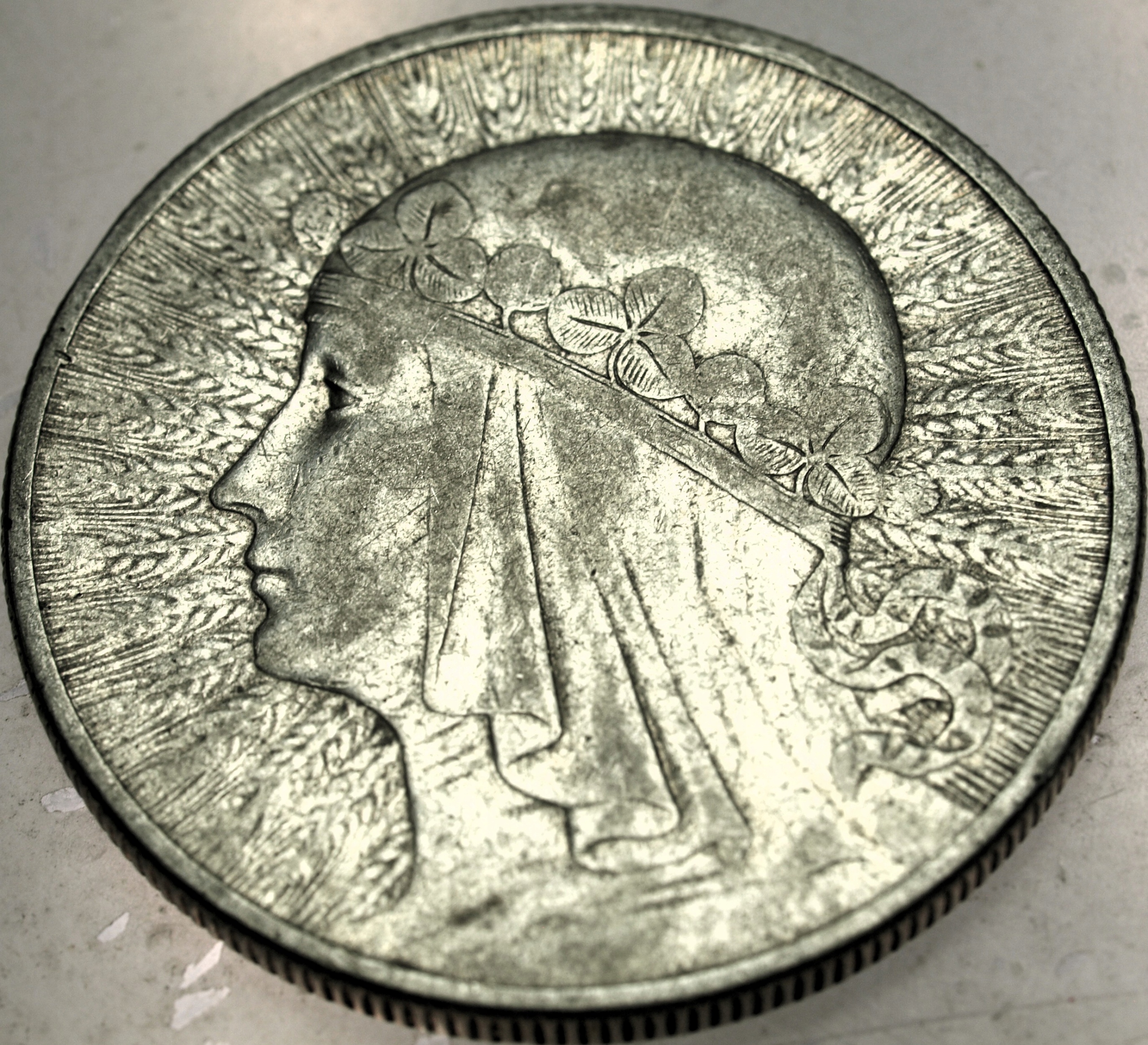 Zdjęcie 18600314525_0