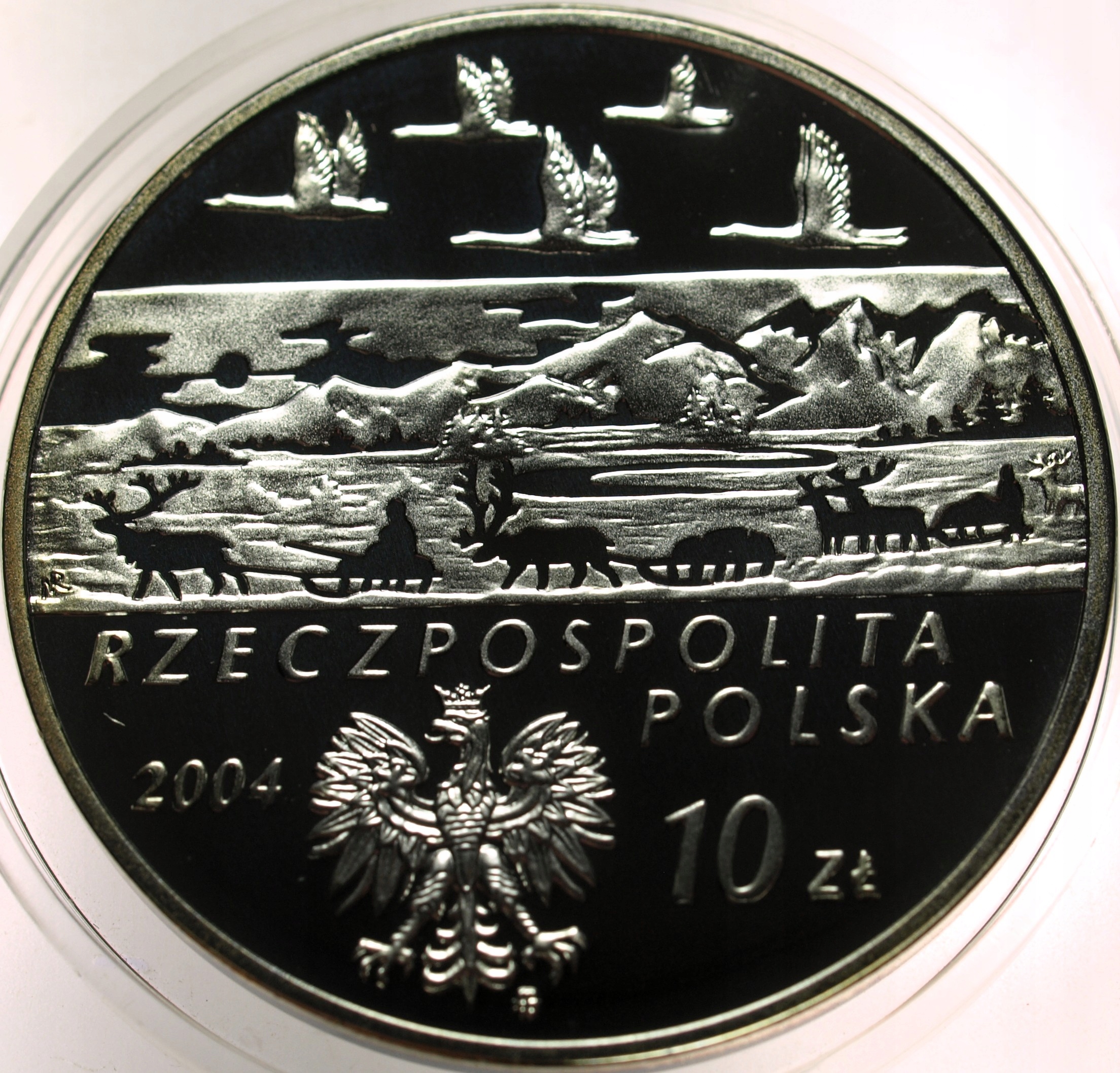 Zdjęcie 18600320693_1