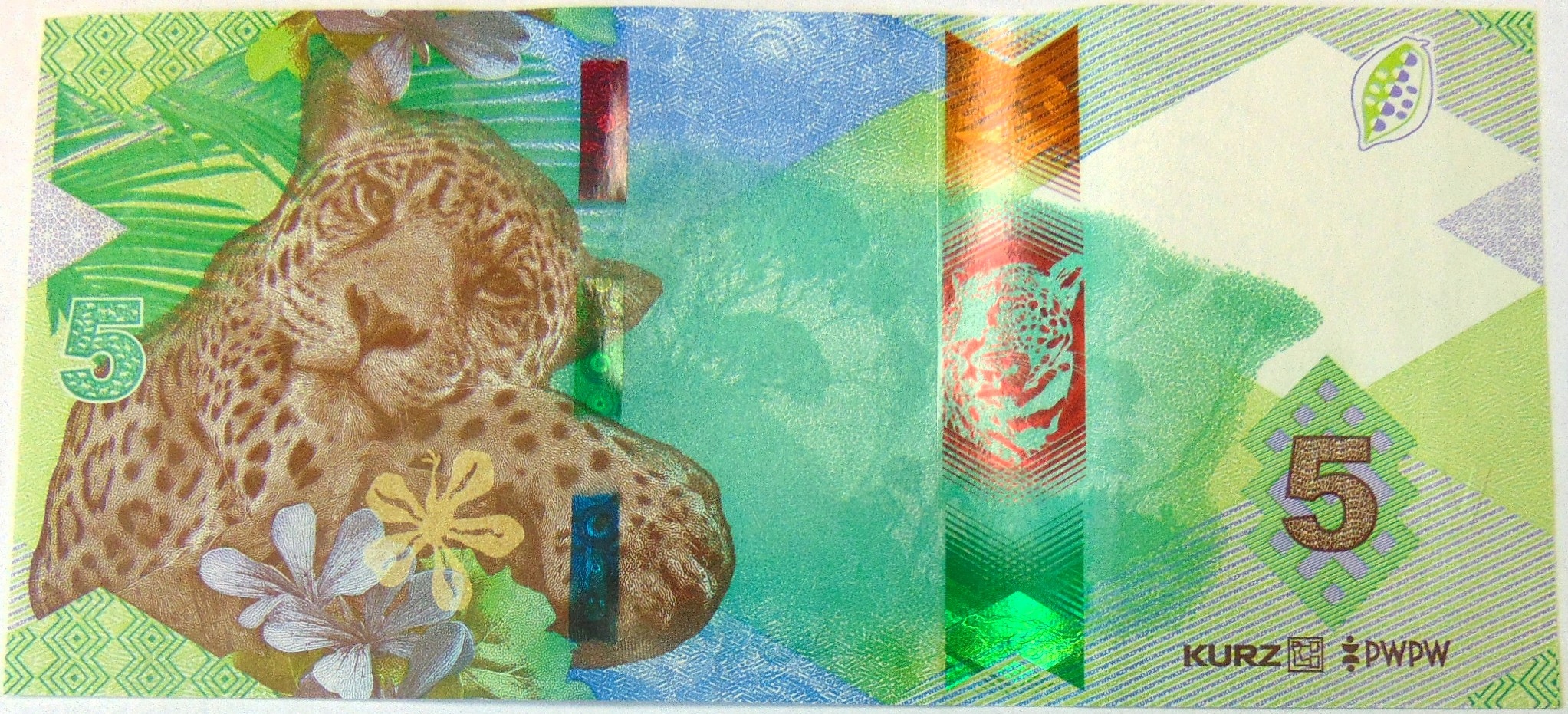 Zdjęcie 18605633010_0