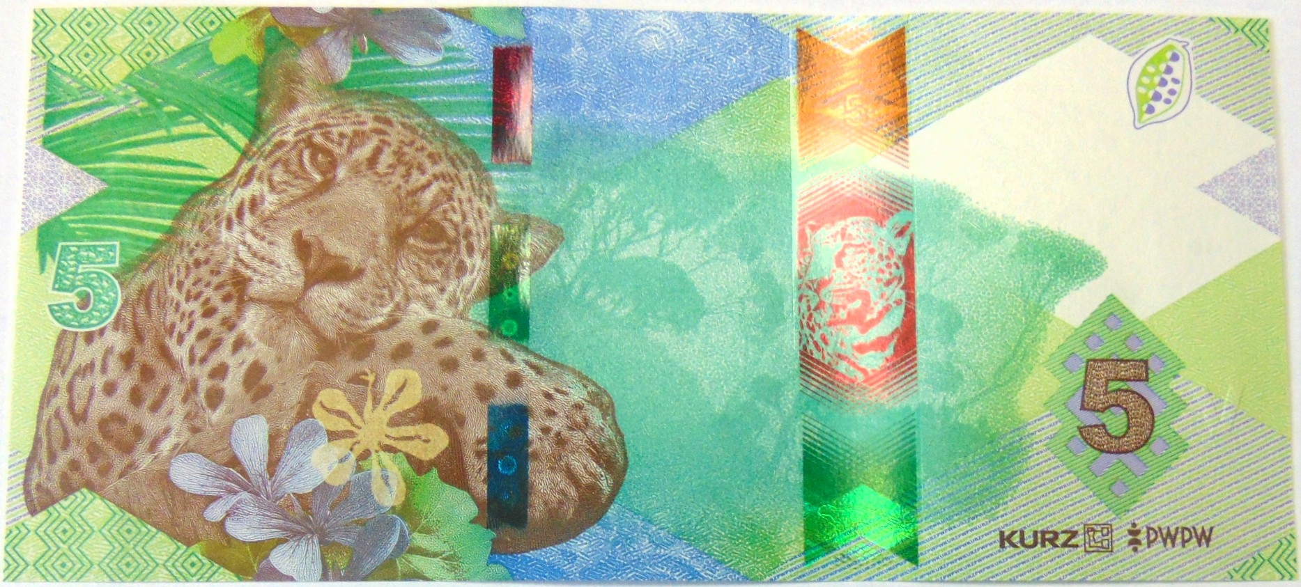 Zdjęcie 18605636453_1