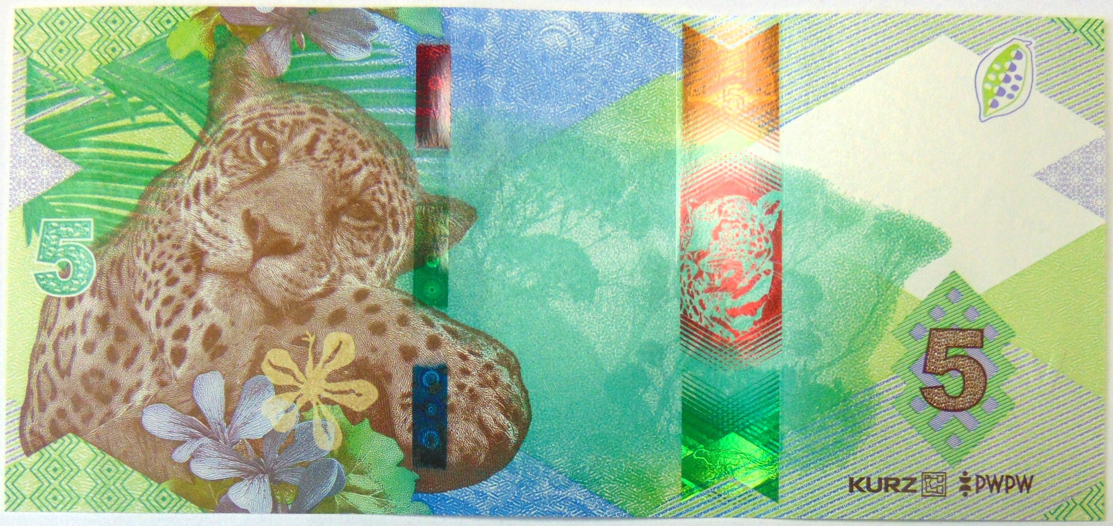 Zdjęcie 18605638906_1