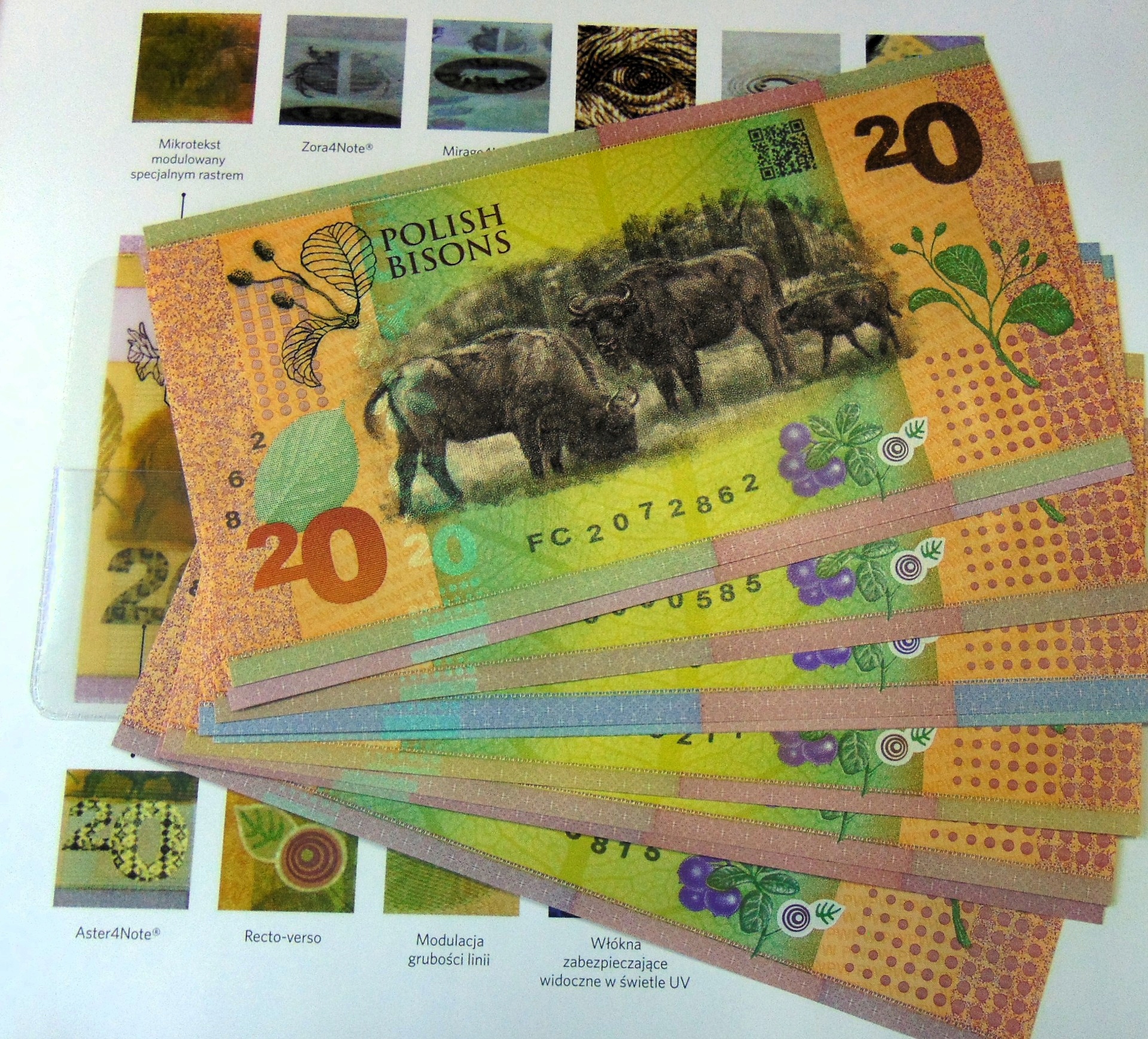 Zdjęcie 18605646378_1