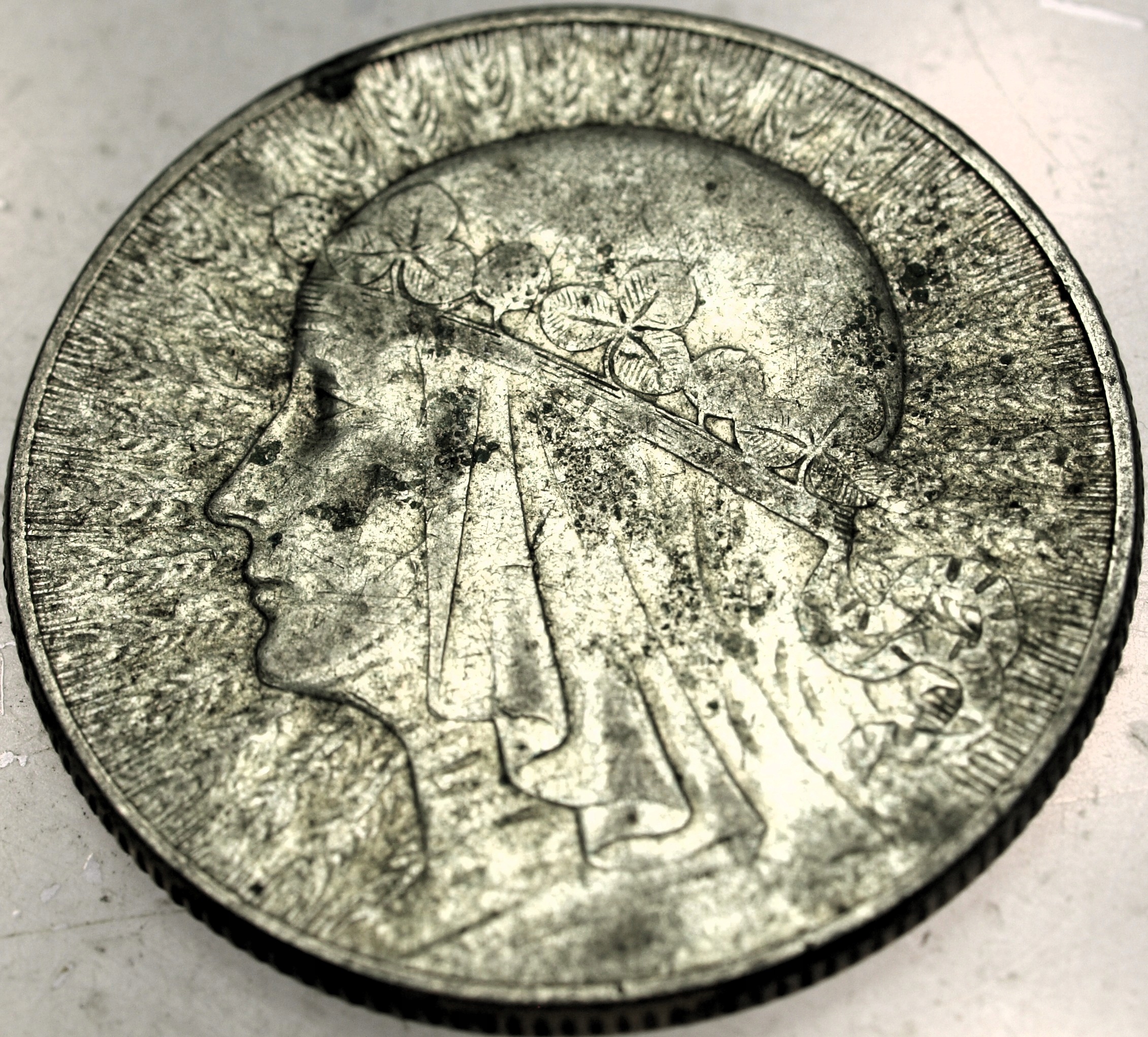 Zdjęcie 18607935802_0