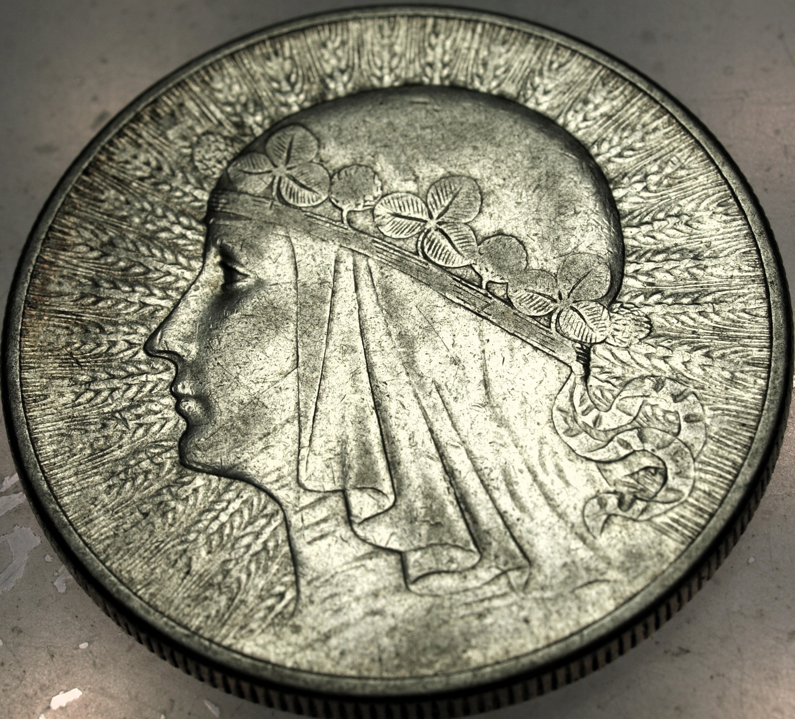 Zdjęcie 18607942187_0
