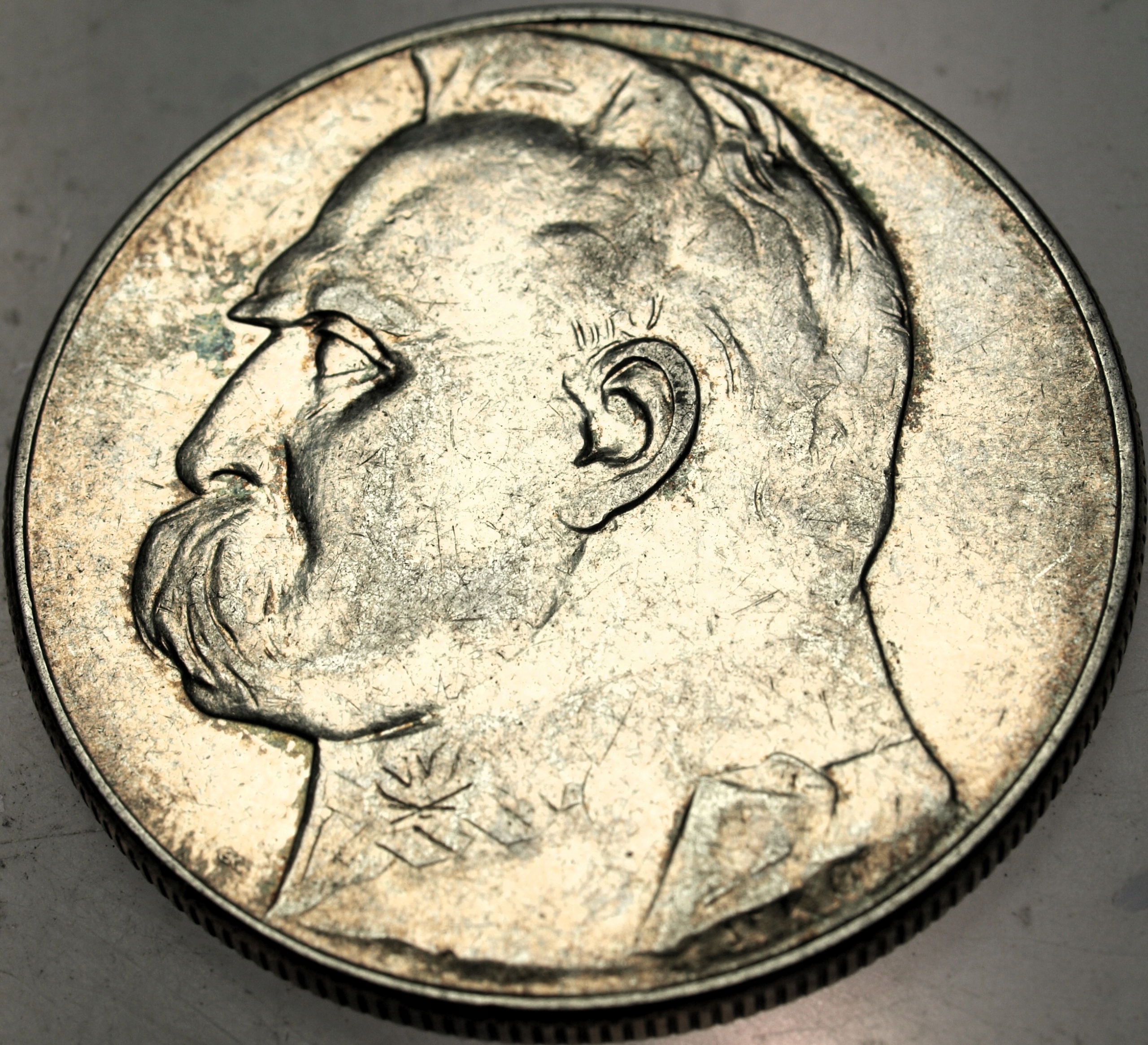 Zdjęcie 18607950784_0
