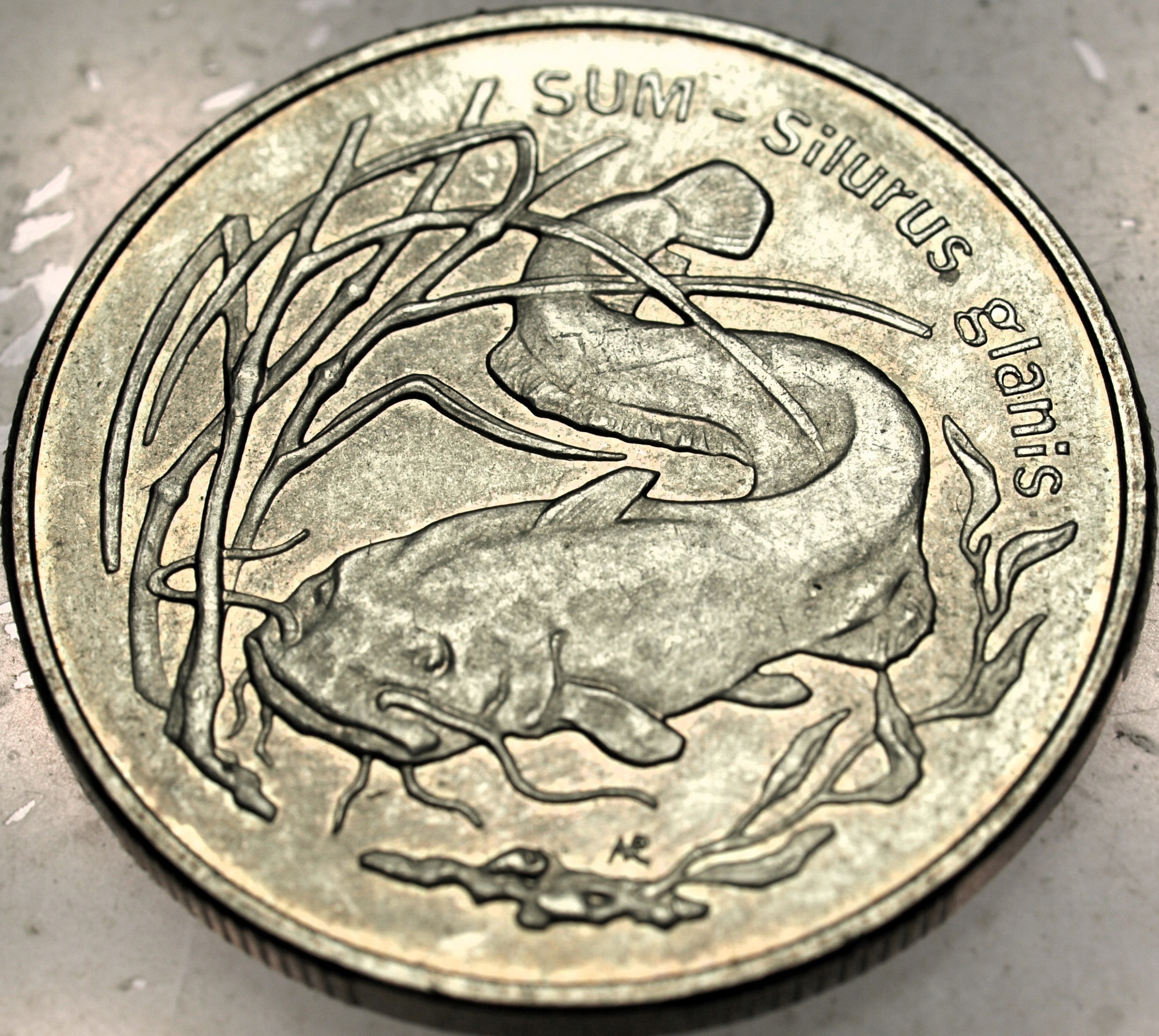 Zdjęcie 18608099019_0
