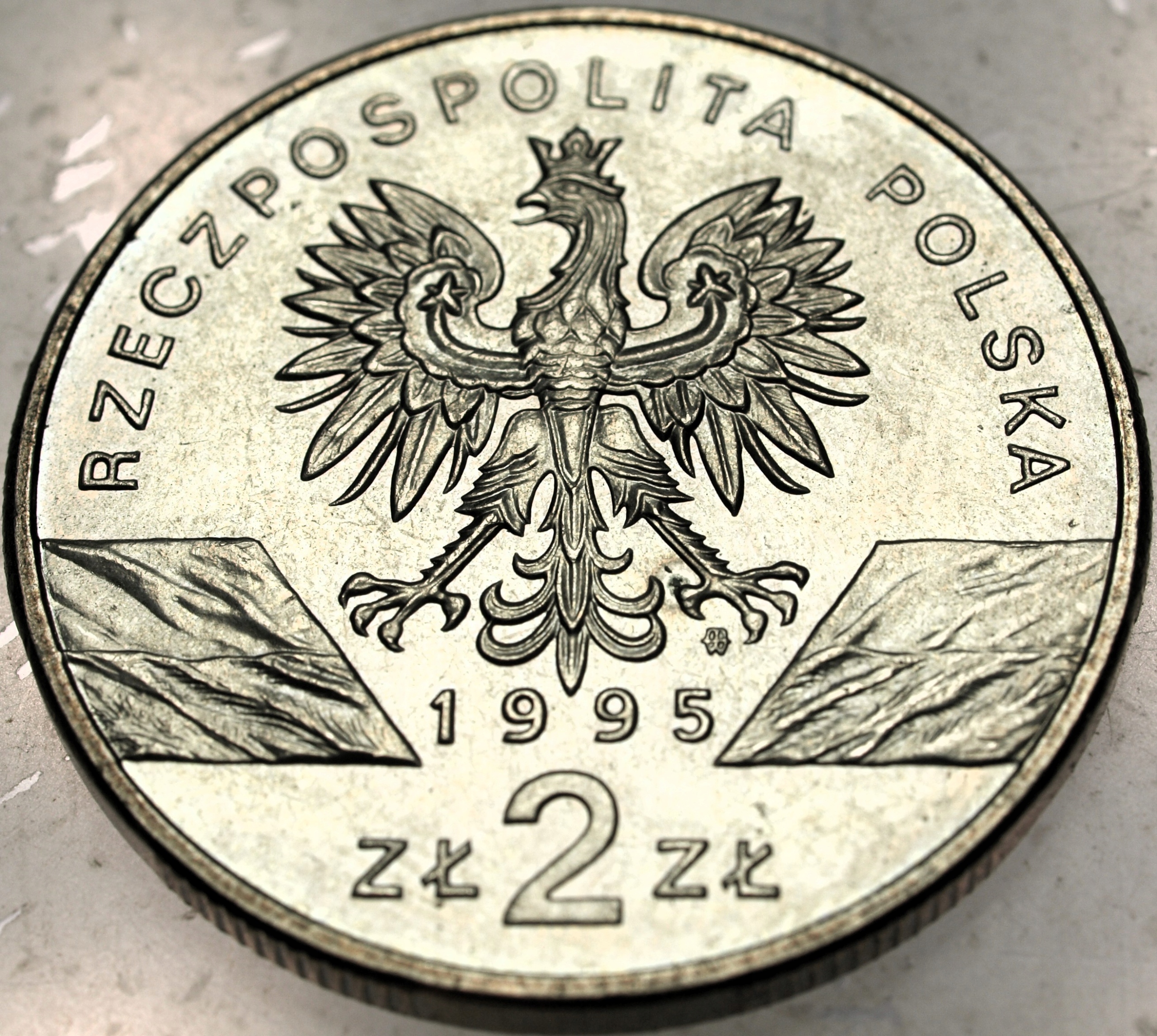 Zdjęcie 18608099019_1